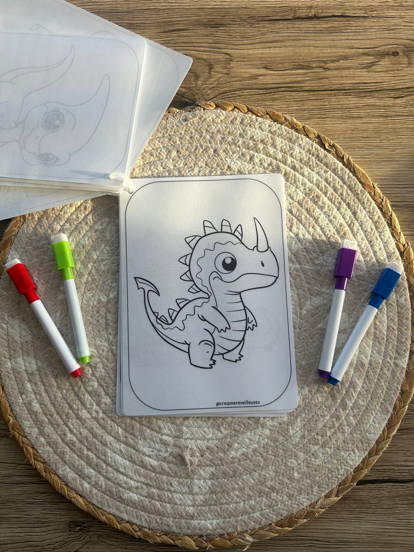 CARNET DE COLORIAGE RÉUTILISABLE DINOSAURES