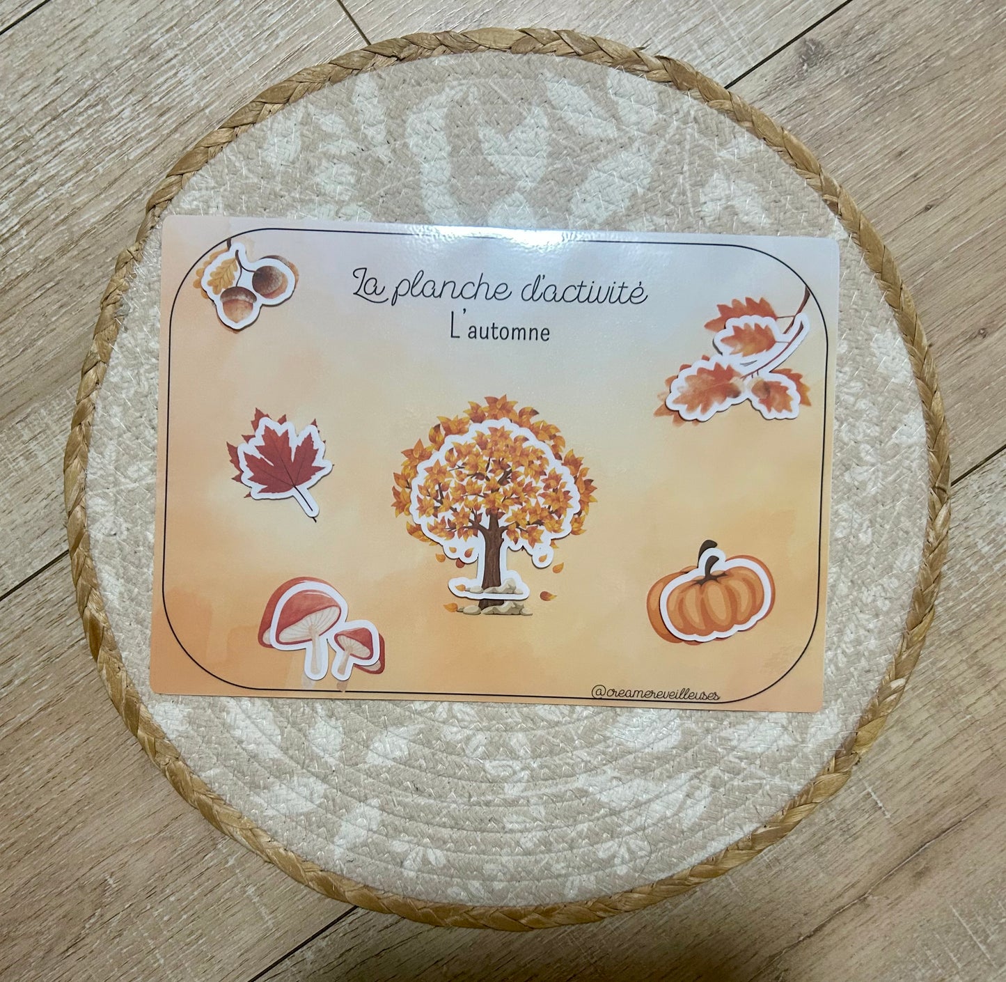 SUPPORT D’ACTIVITÉ AUTOMNE