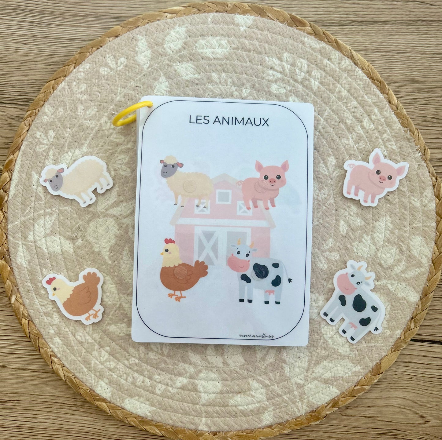 CARNET D’ACTIVITÉ 18 MOIS