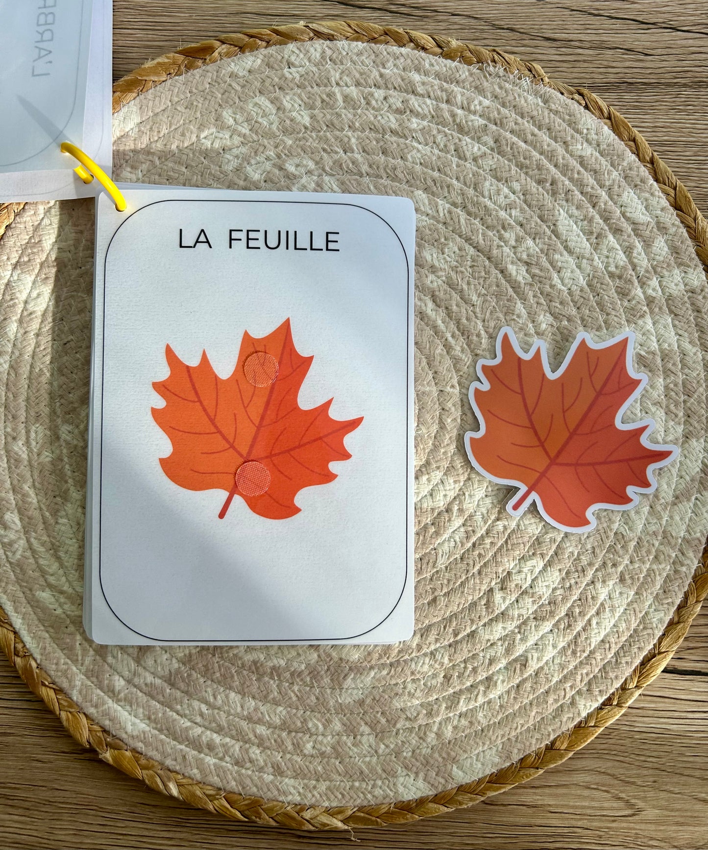 CARNET AUTOMNE DÈS 12 MOIS