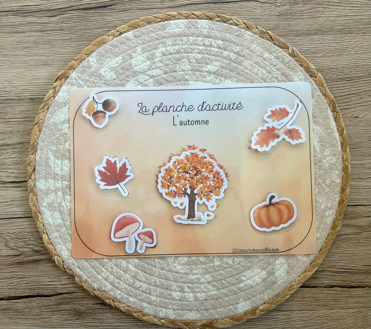 SUPPORT D’ACTIVITÉ AUTOMNE