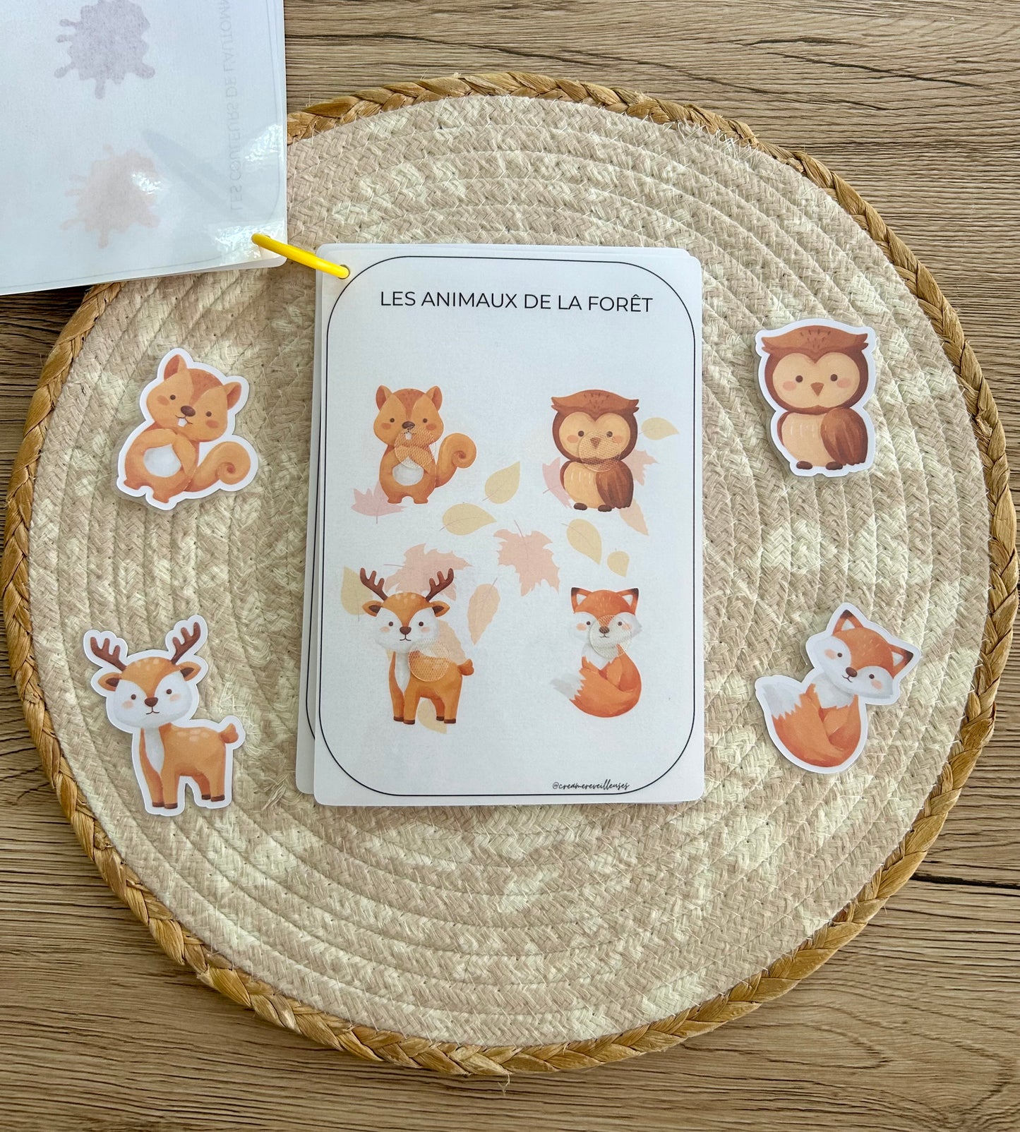 CARNET AUTOMNE 18 MOIS