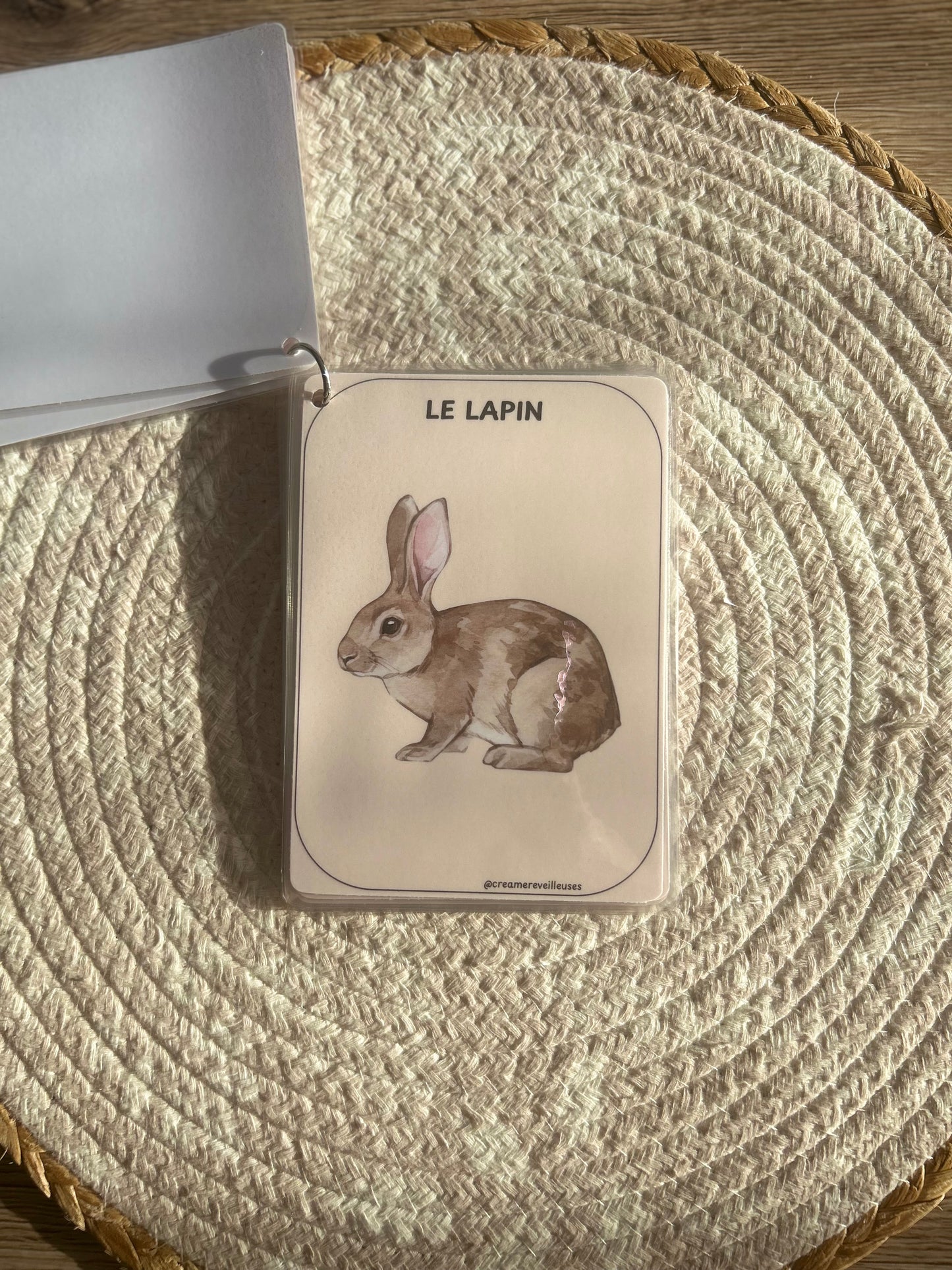 CARTES ÉDUCATIVES LES ANIMAUX DE LA SAVANE