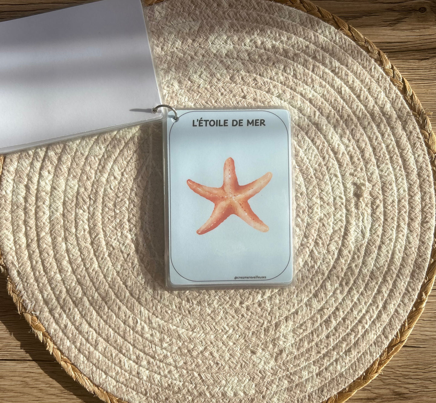 CARTES ÉDUCATIVES LES ANIMAUX DE LA MER