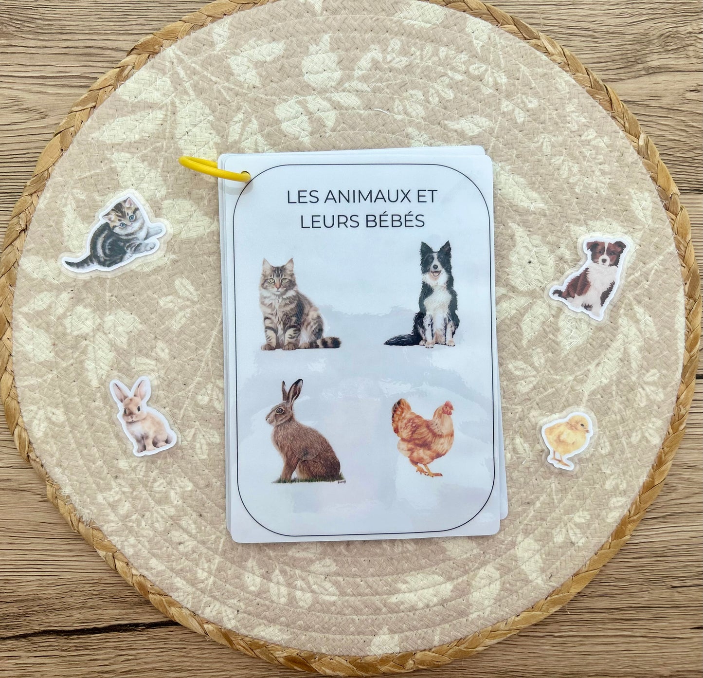 CARNET D'ACTIVITÉS 24 MOIS