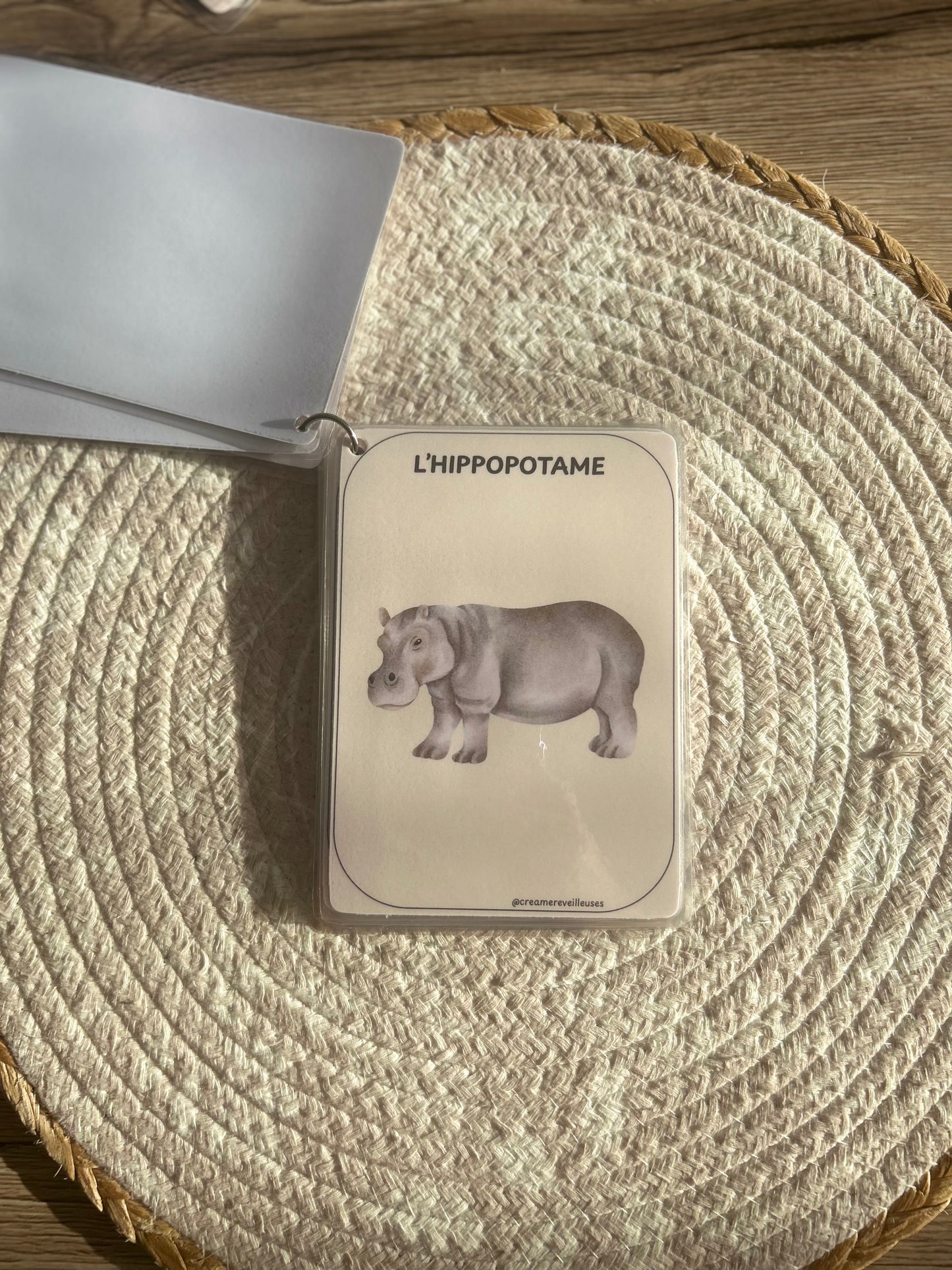 CARTES ÉDUCATIVES LES ANIMAUX DE LA SAVANE