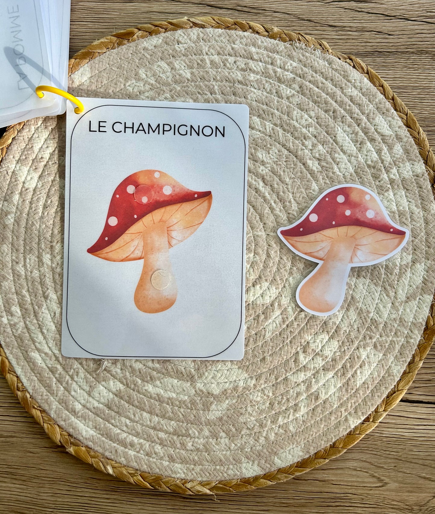 CARNET AUTOMNE DÈS 12 MOIS