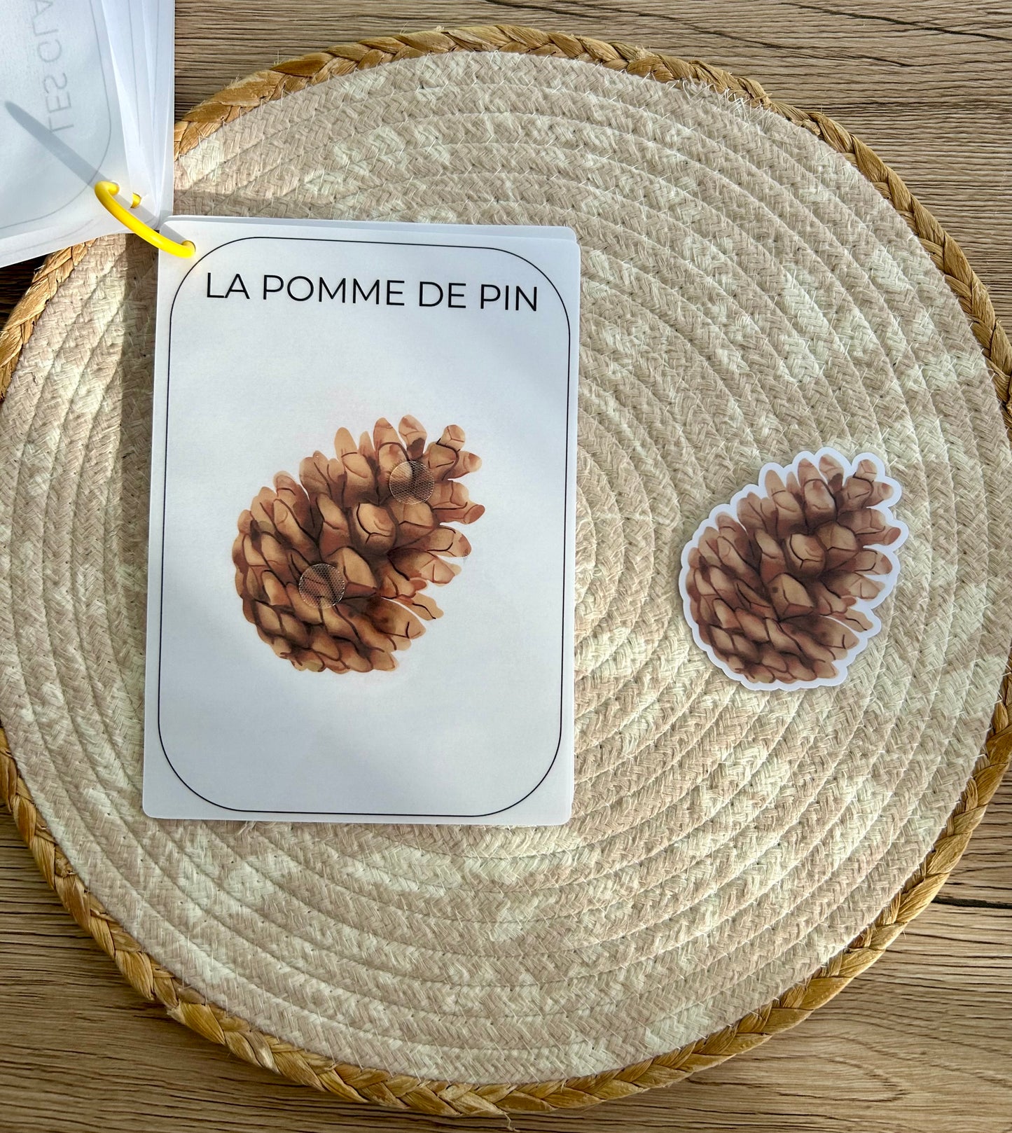 CARNET AUTOMNE DÈS 12 MOIS