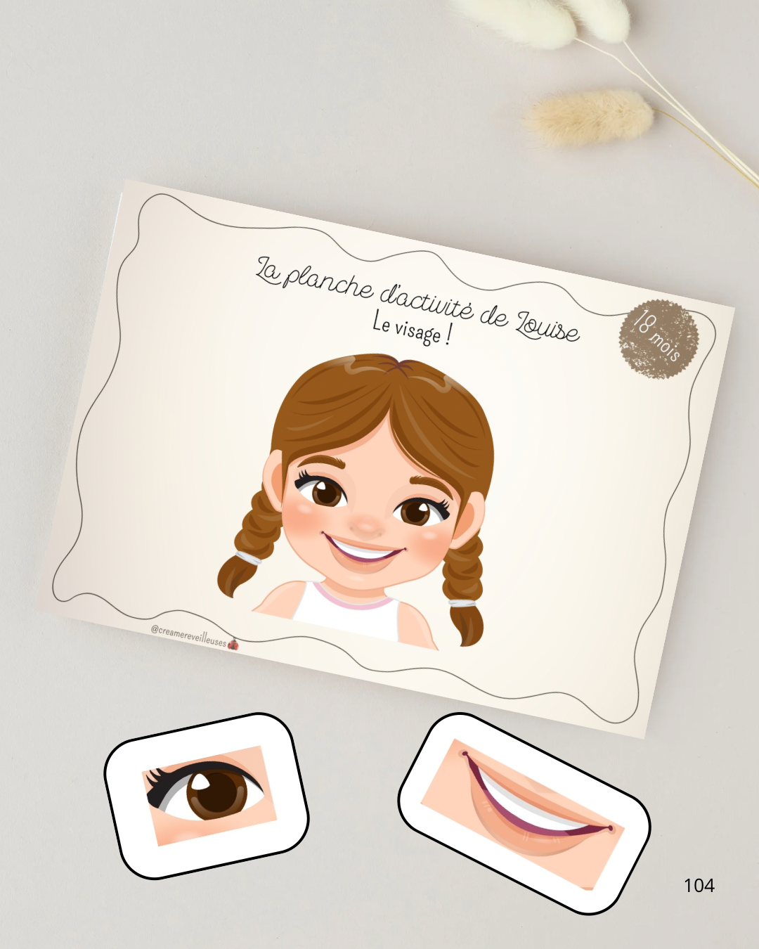 LES PARTIES DU VISAGE