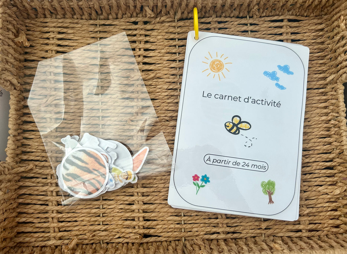 CARNET D’ACTIVITÉ 24 MOIS PRIX RÉDUIT