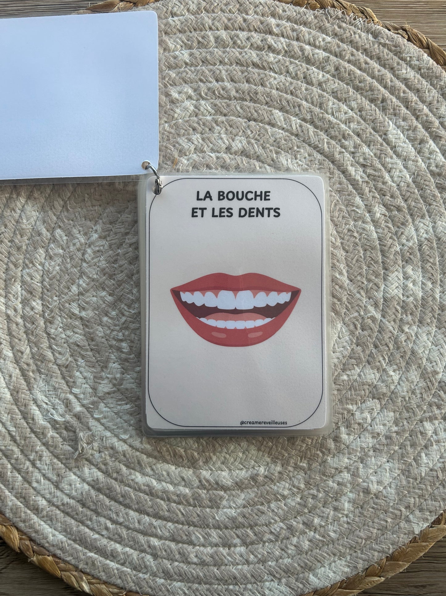 CARTES ÉDUCATIVES LES PARTIES DU CORPS