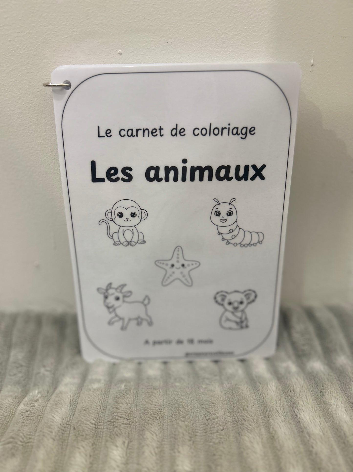 CARNET DE COLORIAGE RÉUTILISABLE