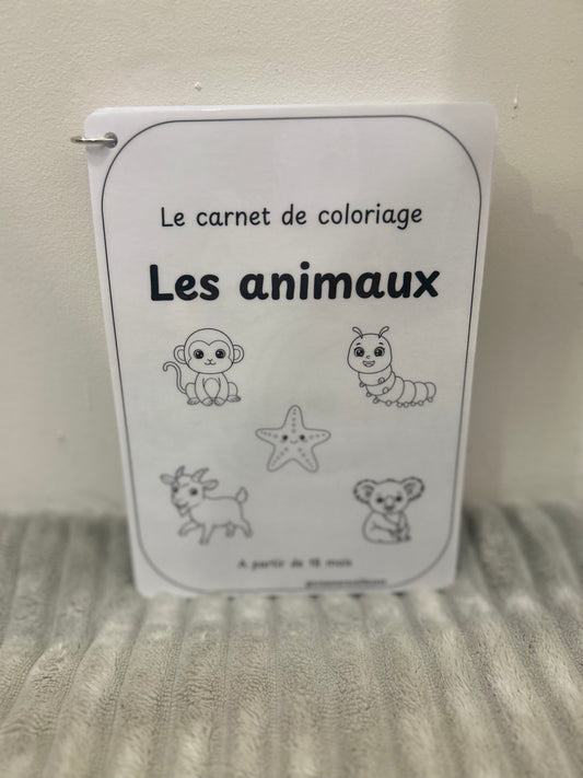 CARNET DE COLORIAGE RÉUTILISABLE