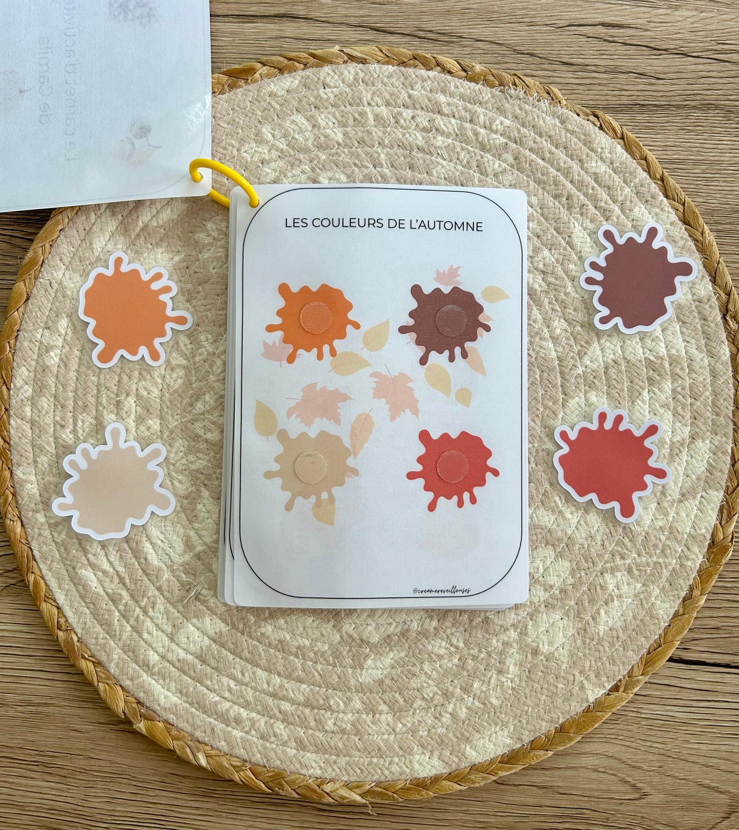 CARNET AUTOMNE 18 MOIS