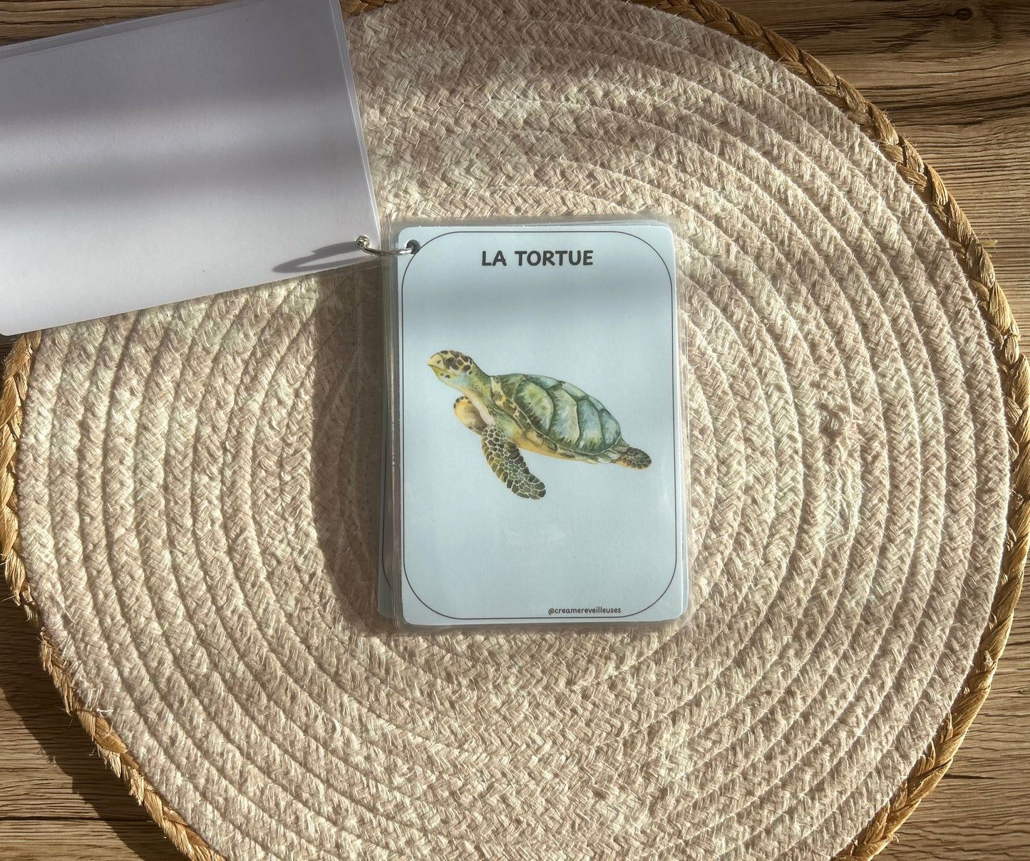 CARTES ÉDUCATIVES LES ANIMAUX DE LA MER