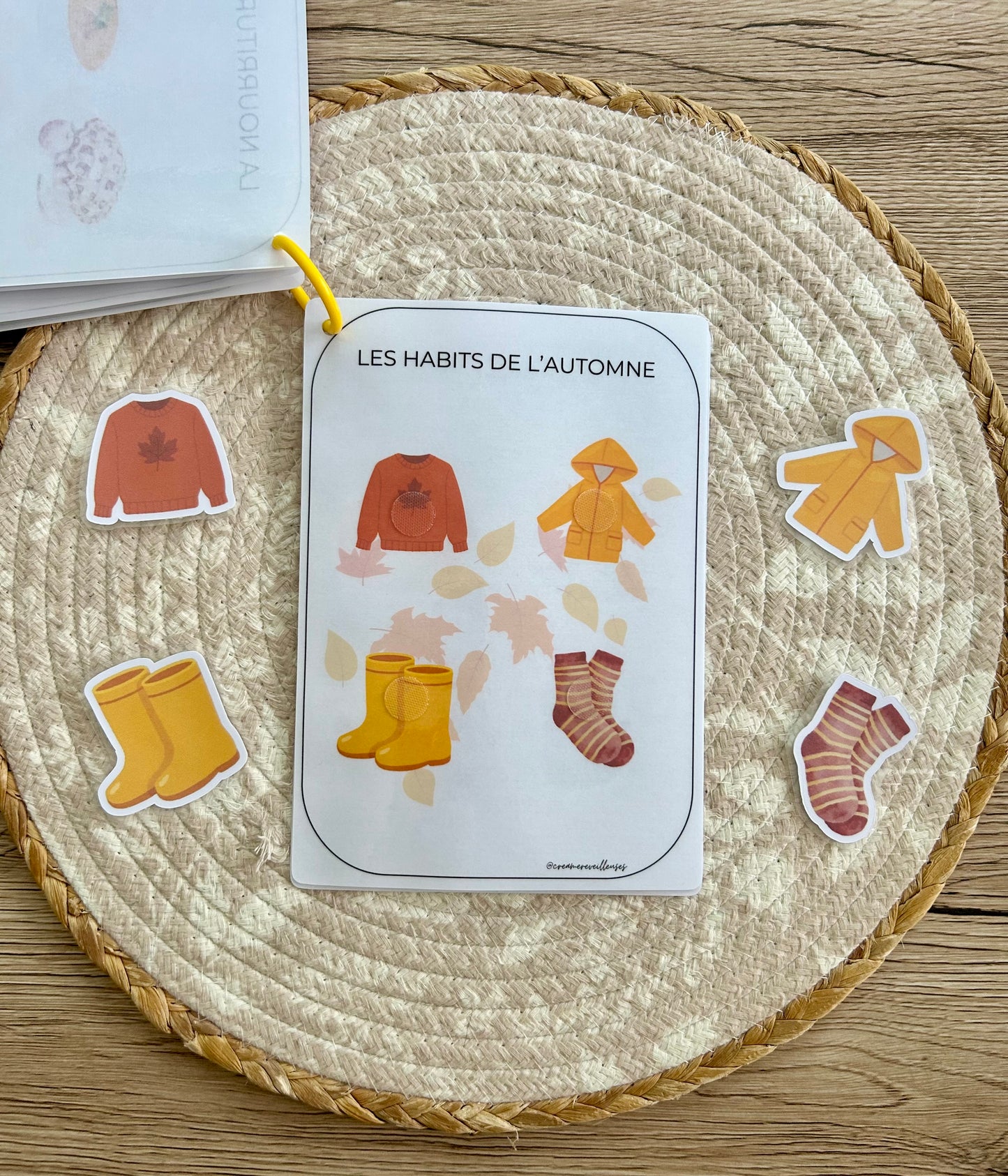 CARNET AUTOMNE 18 MOIS
