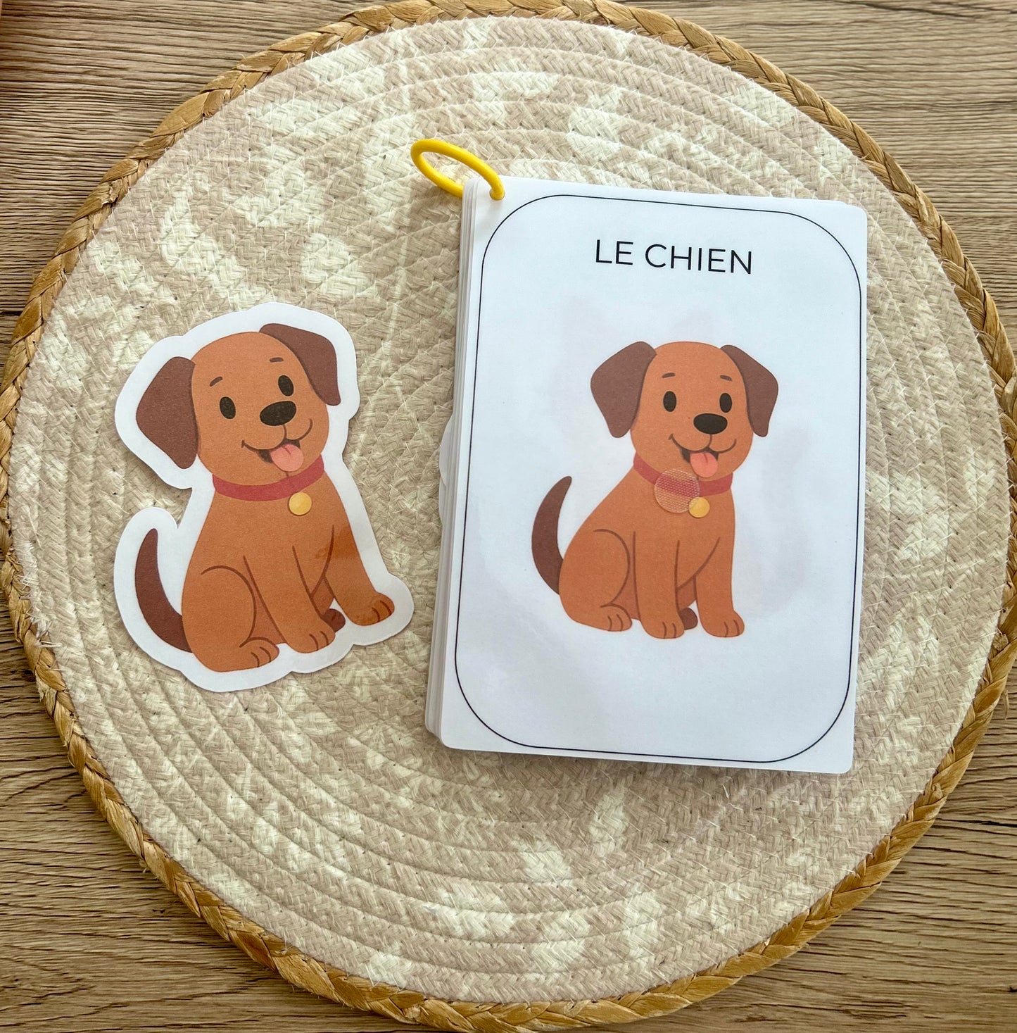CARNET D’ACTIVITÉ 12 MOIS ANIMAUX