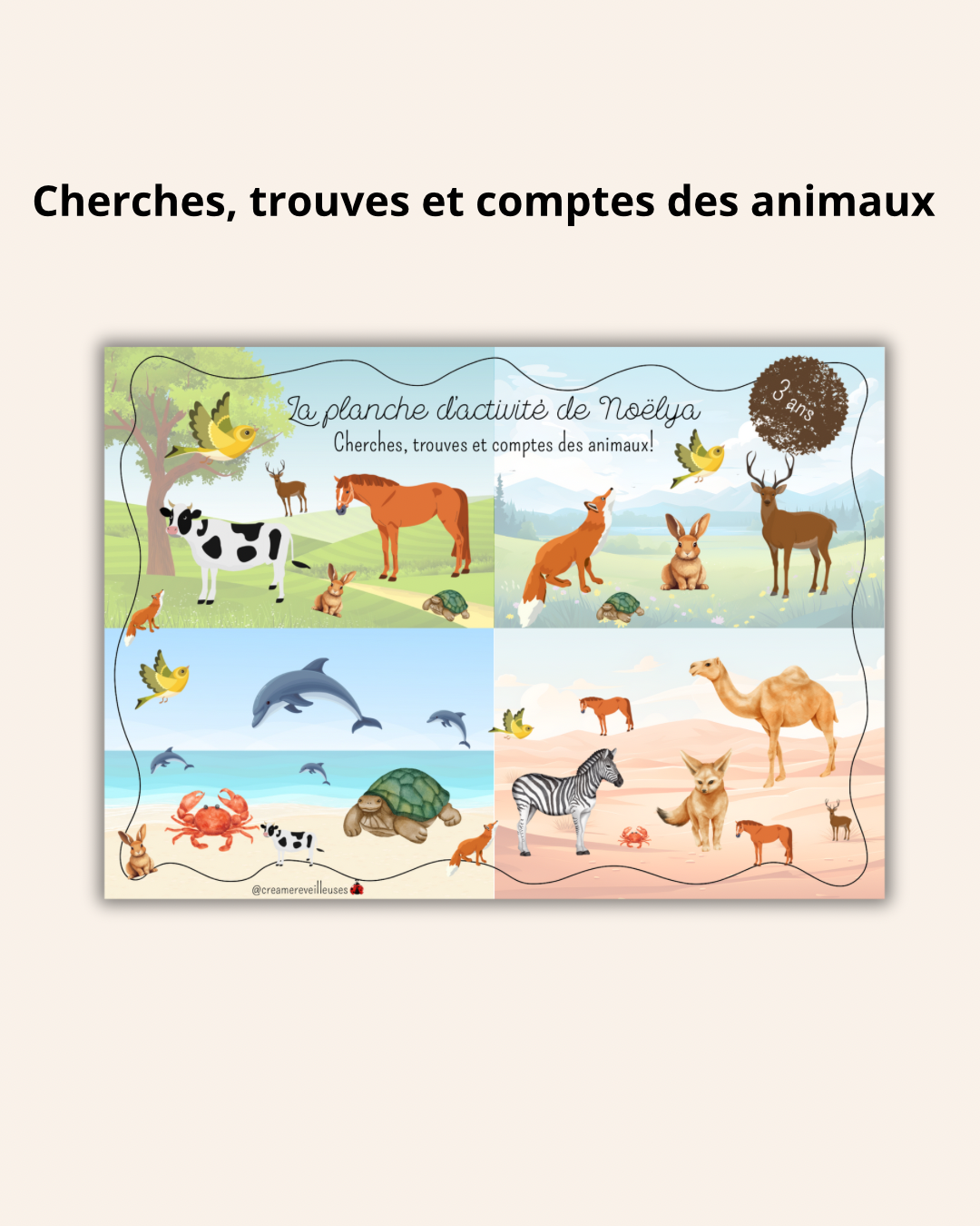 CHERCHES ET TROUVES