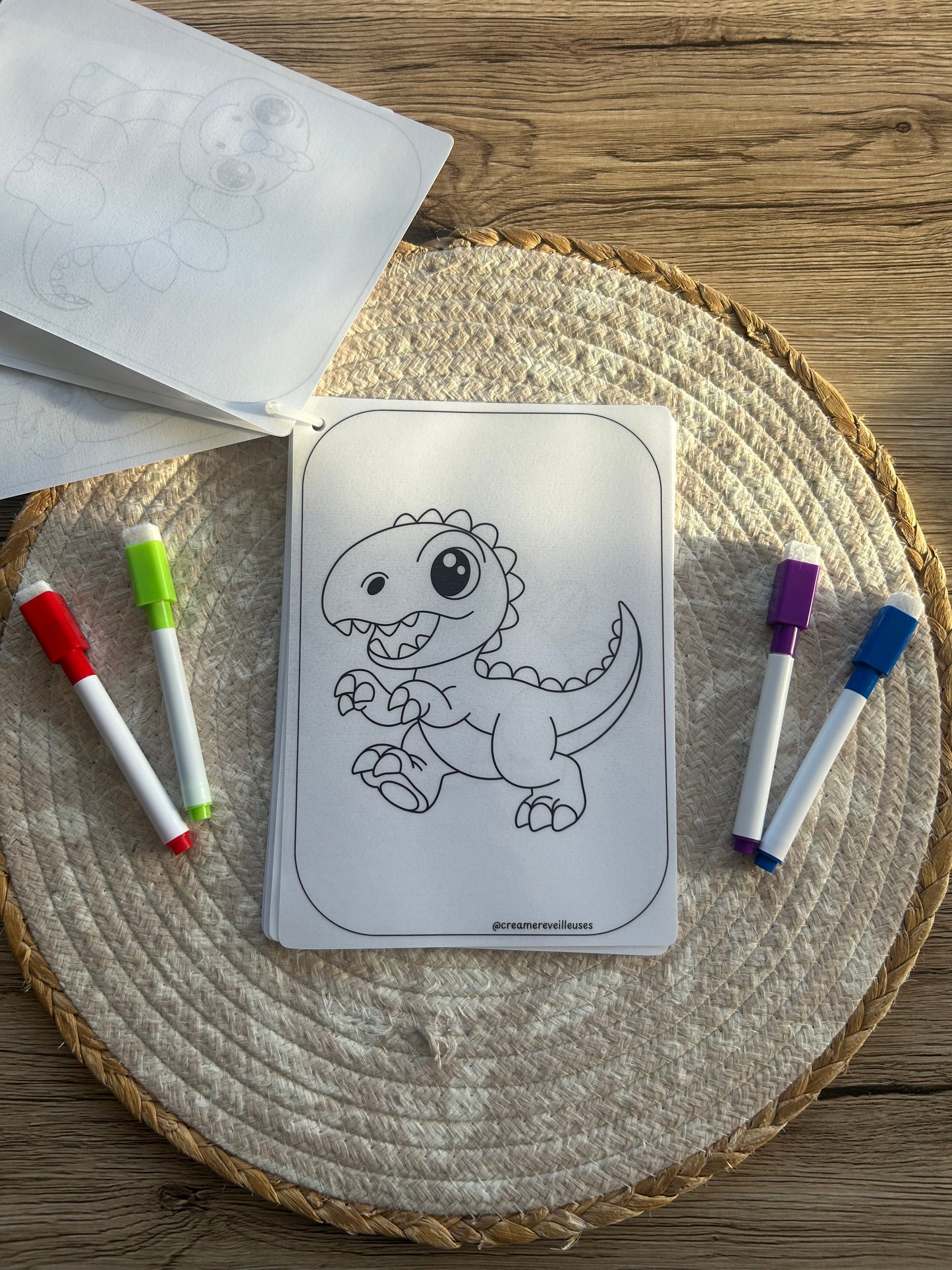 CARNET DE COLORIAGE RÉUTILISABLE DINOSAURES