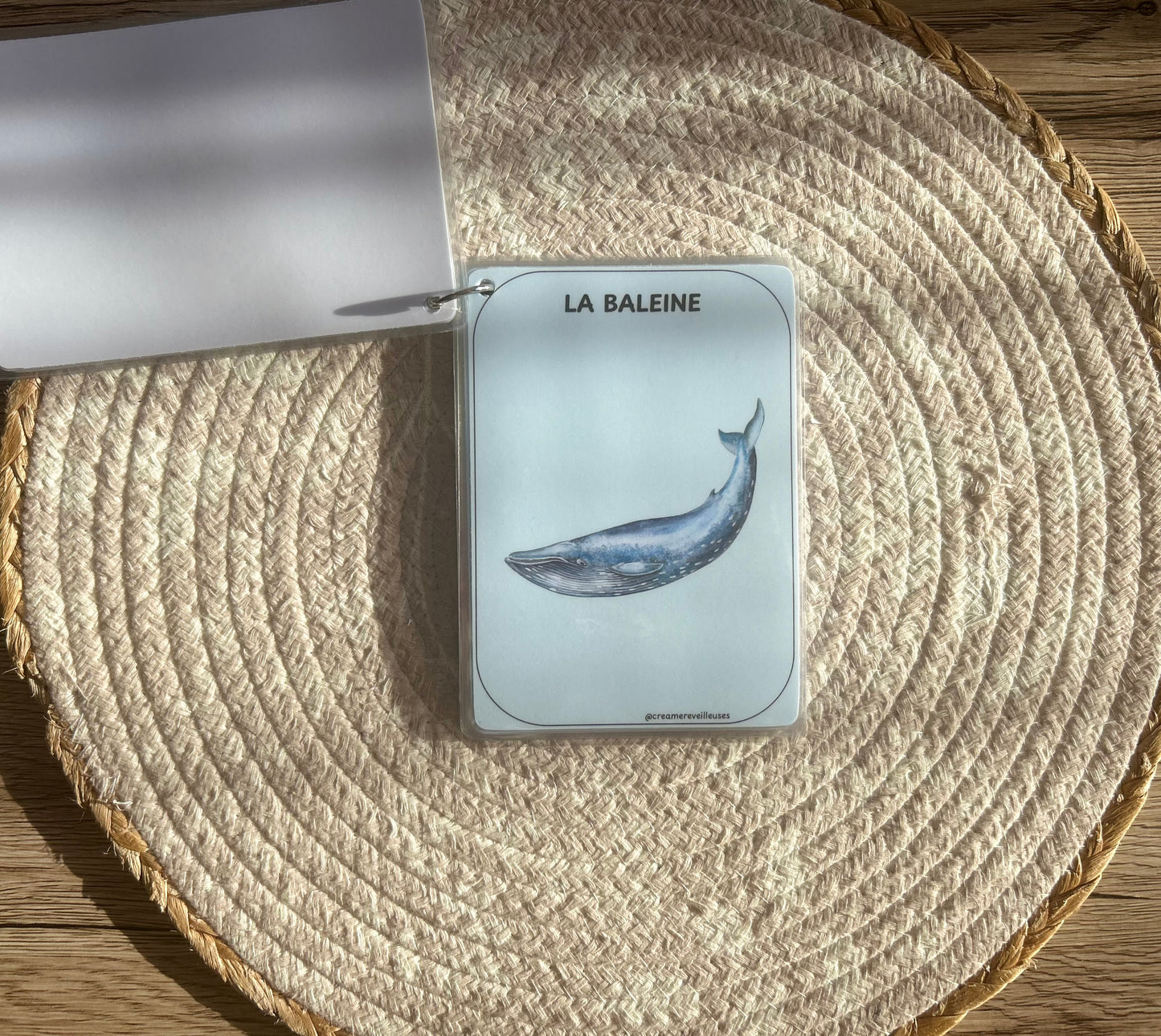 CARTES ÉDUCATIVES LES ANIMAUX DE LA MER