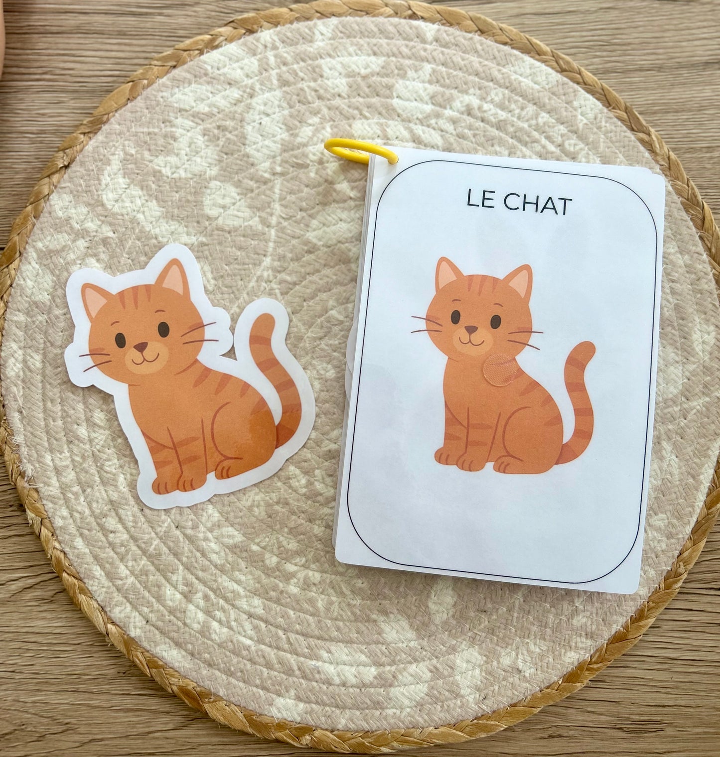 CARNET D’ACTIVITÉ 12 MOIS ANIMAUX