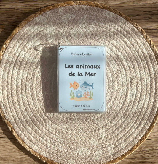 CARTES ÉDUCATIVES LES ANIMAUX DE LA MER