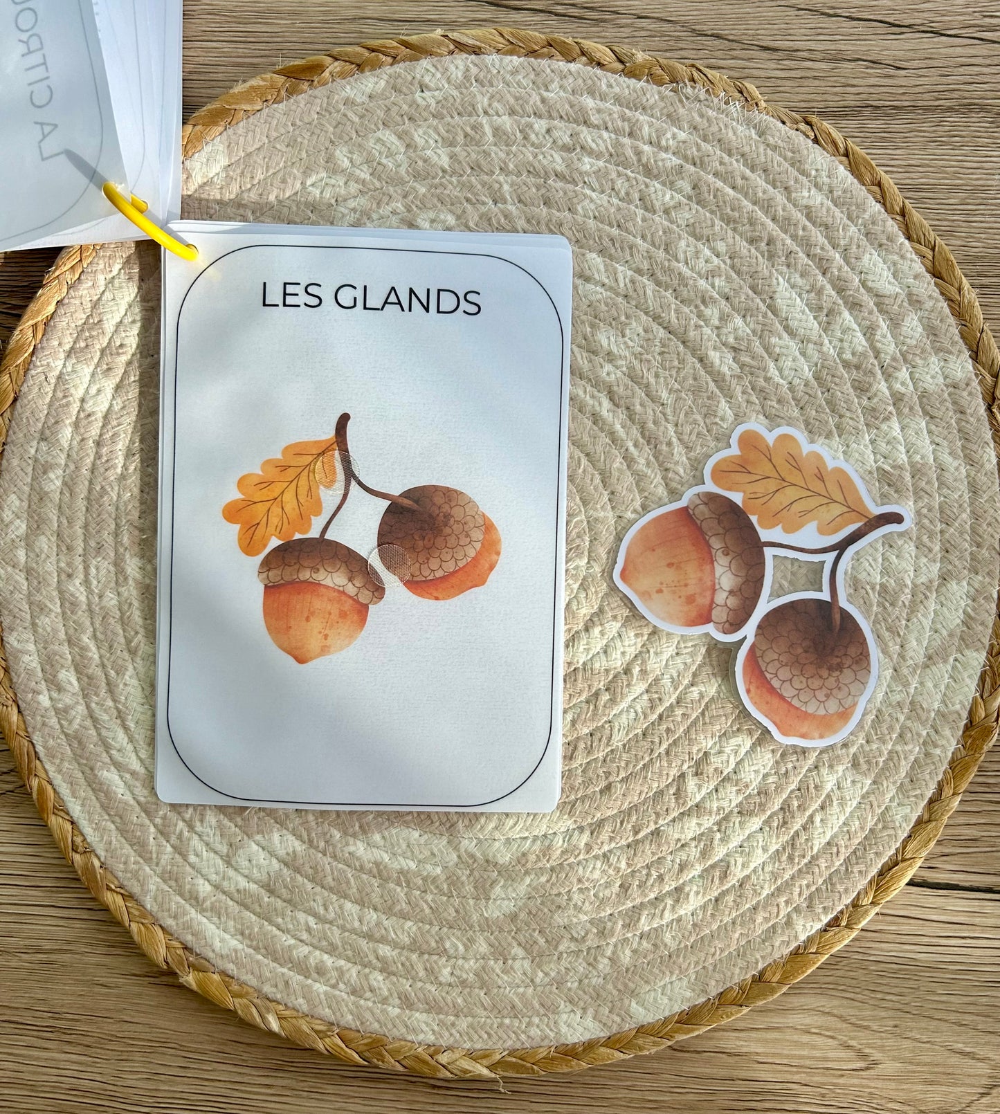 CARNET AUTOMNE DÈS 12 MOIS