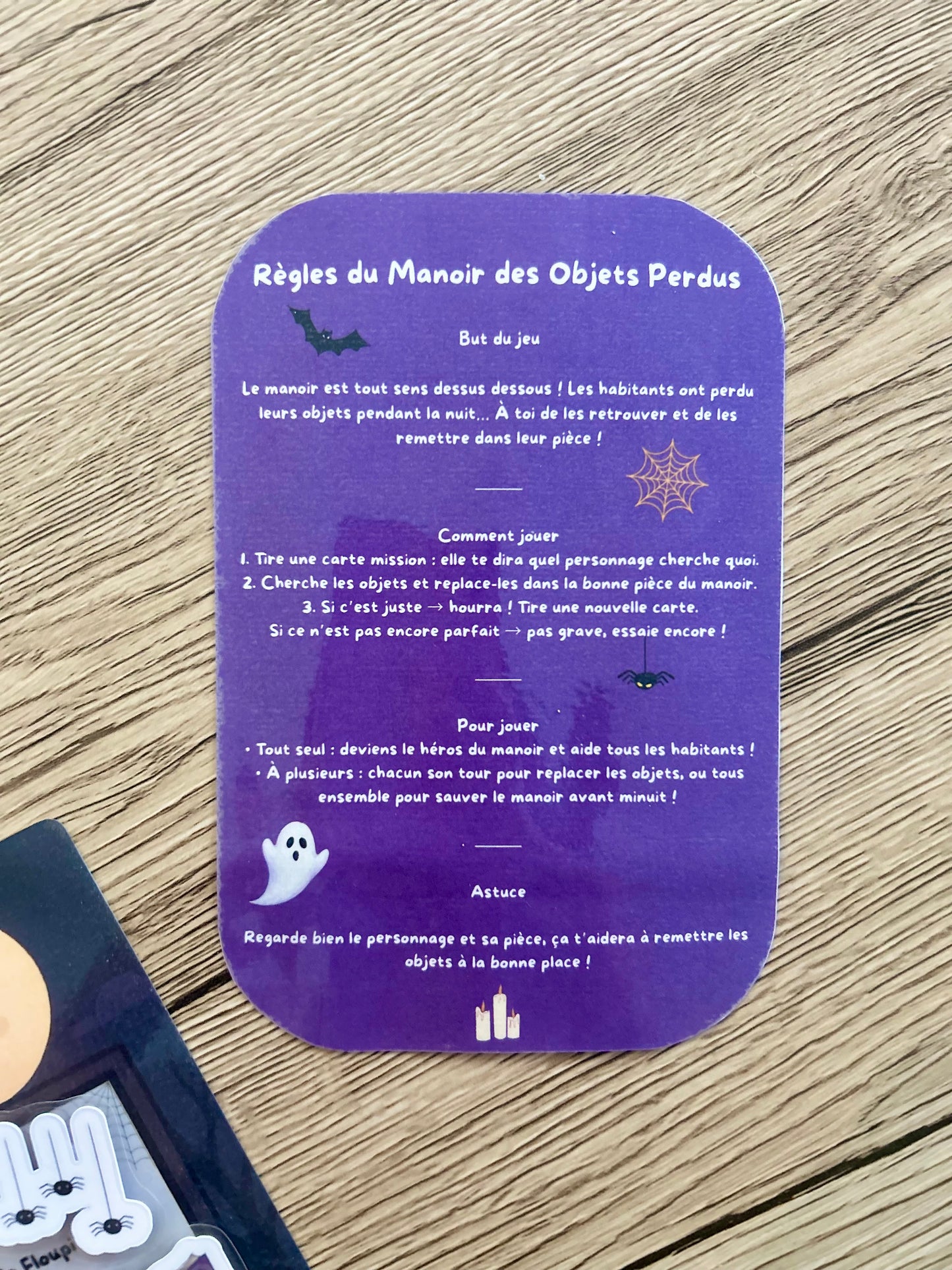 LE MANOIR DES OBJETS PERDUS