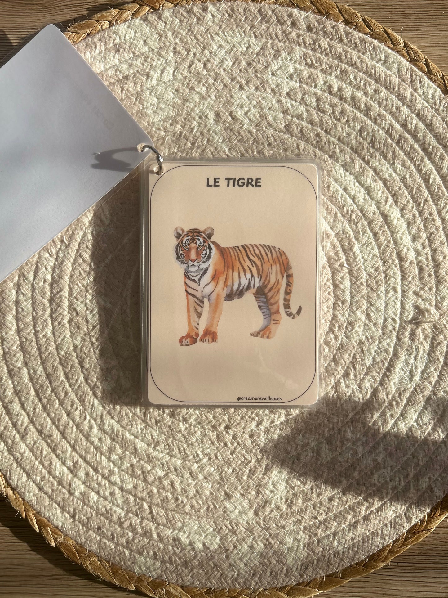 CARTES ÉDUCATIVES LES ANIMAUX DE LA JUNGLE