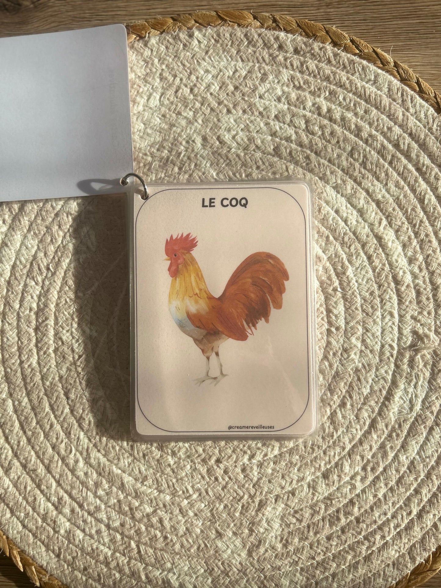 CARTES ÉDUCATIVES LES ANIMAUX DE LA SAVANE