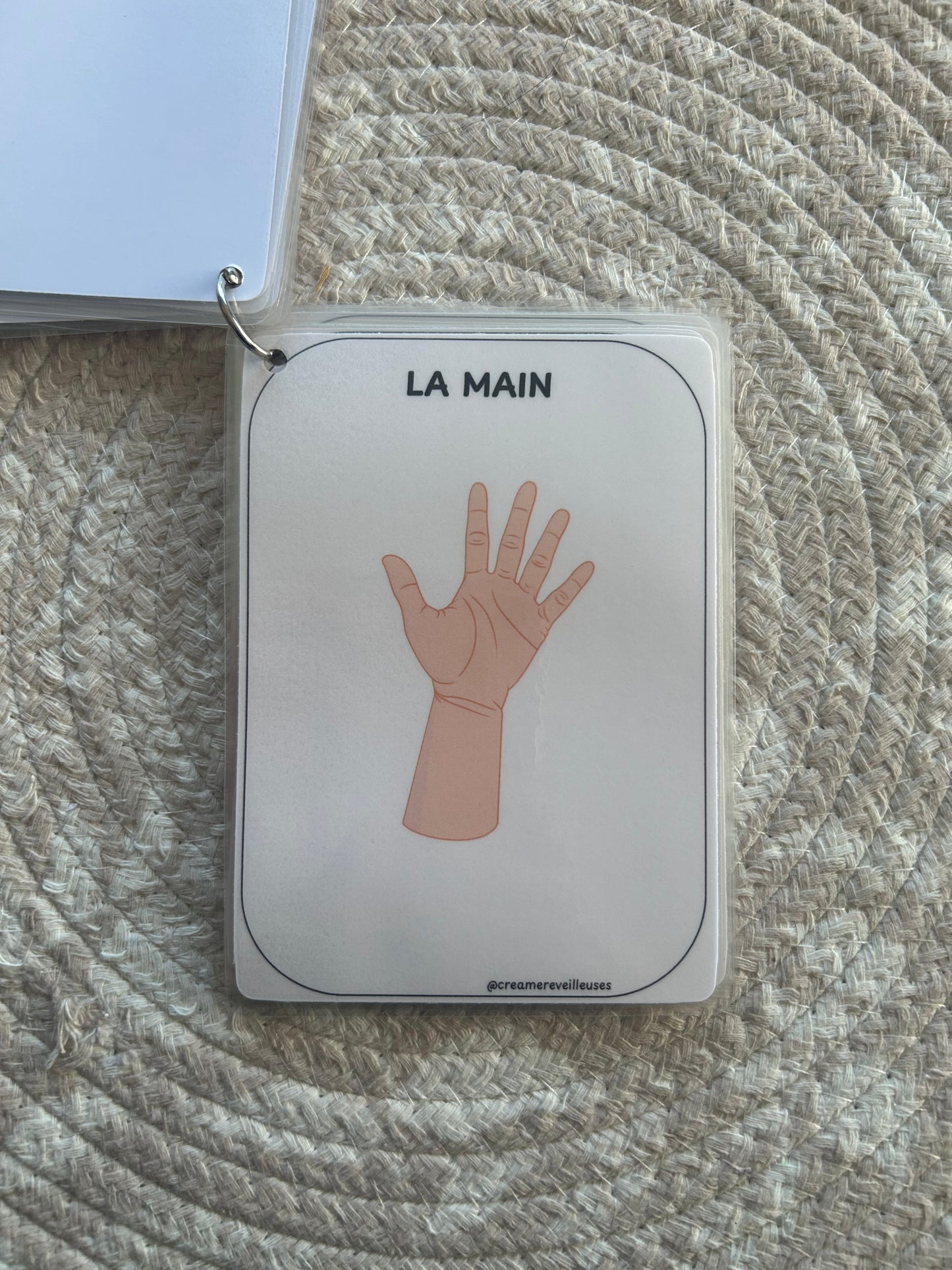 CARTES ÉDUCATIVES LES PARTIES DU CORPS