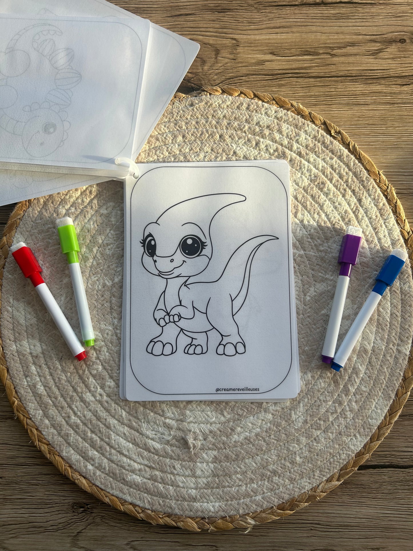CARNET DE COLORIAGE RÉUTILISABLE DINOSAURES