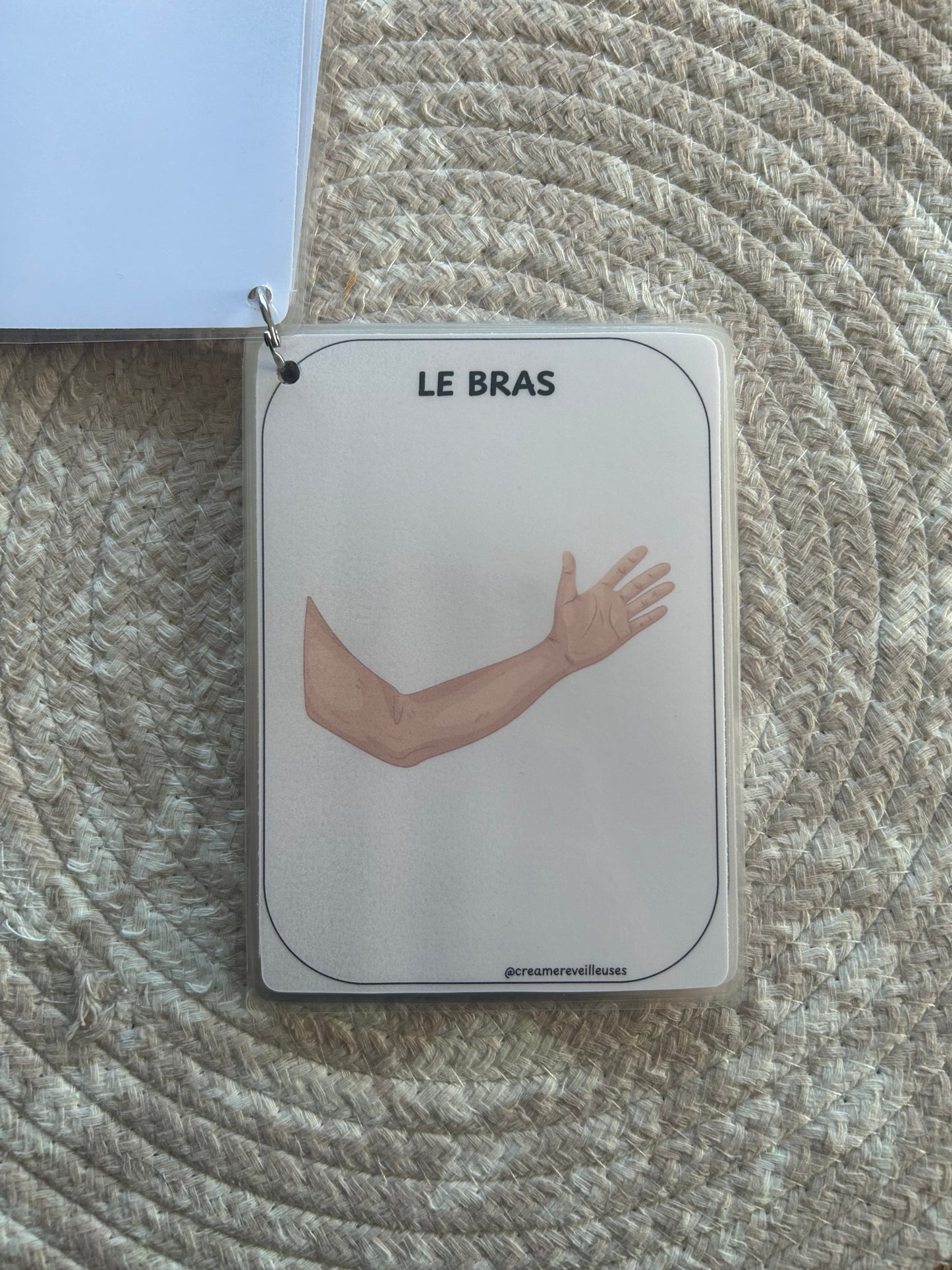 CARTES ÉDUCATIVES LES PARTIES DU CORPS