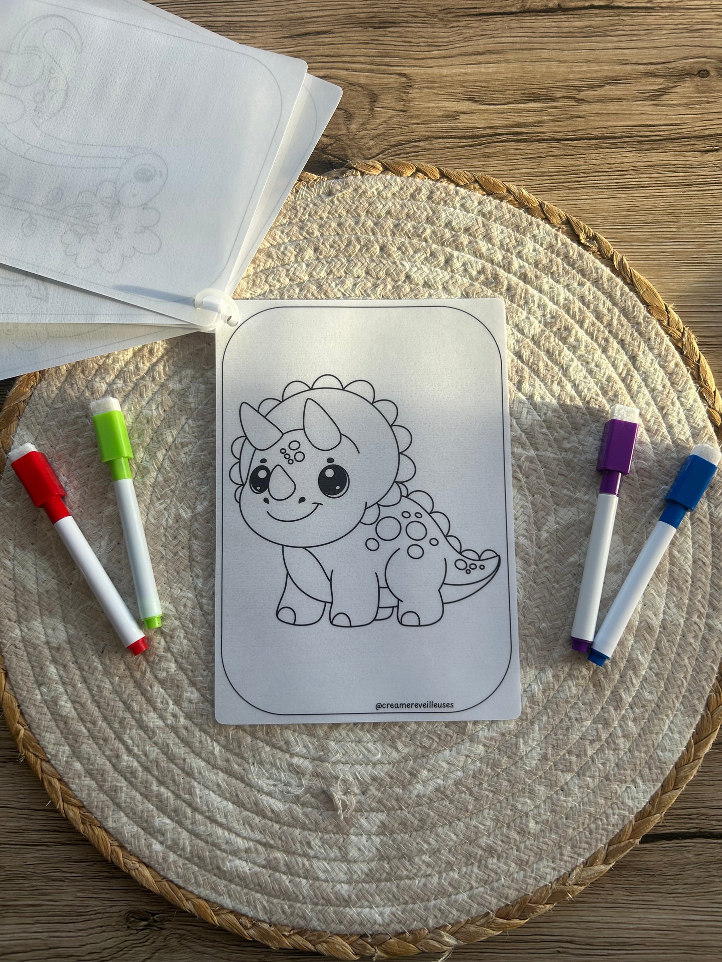 CARNET DE COLORIAGE RÉUTILISABLE DINOSAURES