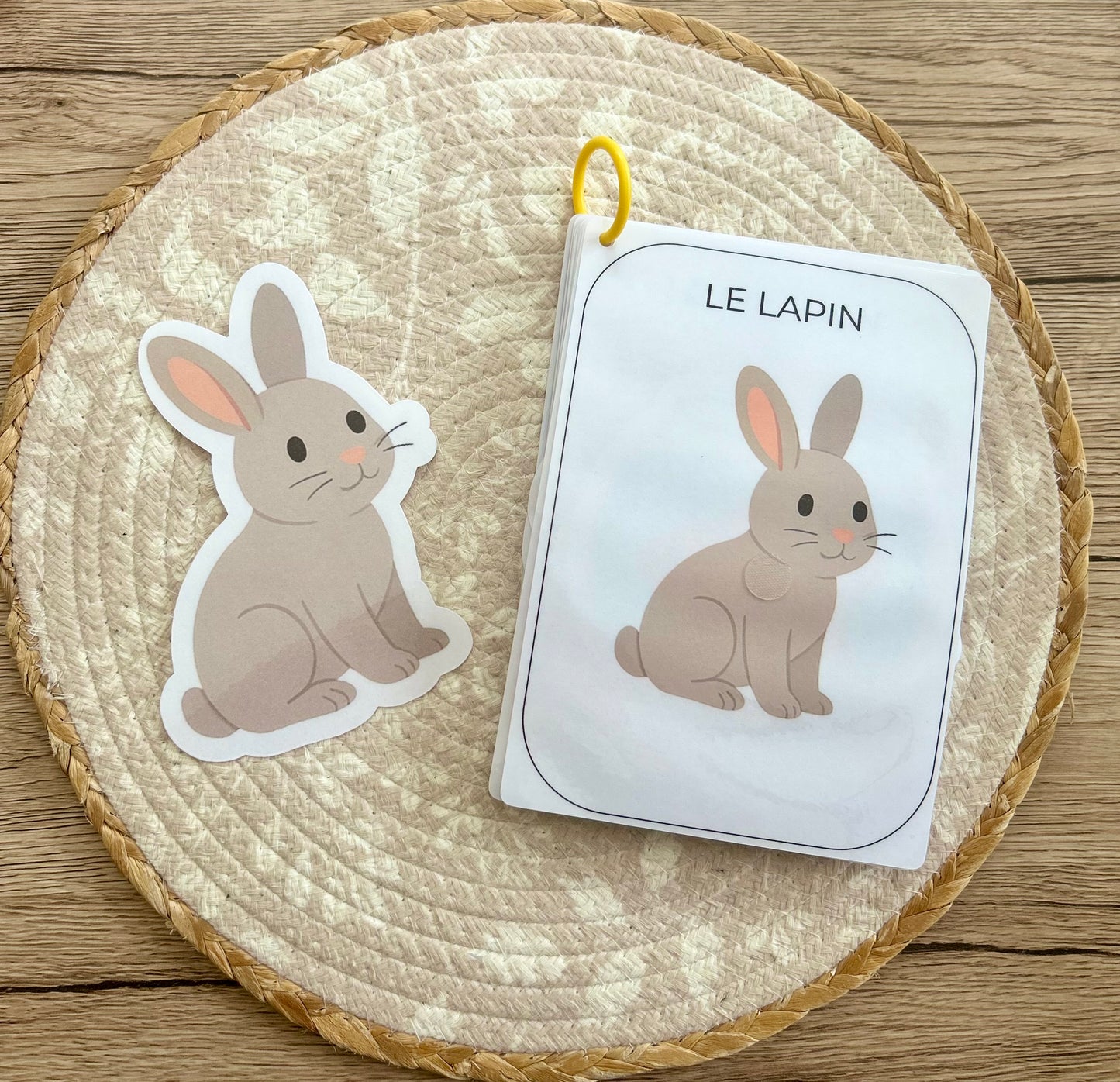 CARNET D’ACTIVITÉ 12 MOIS ANIMAUX