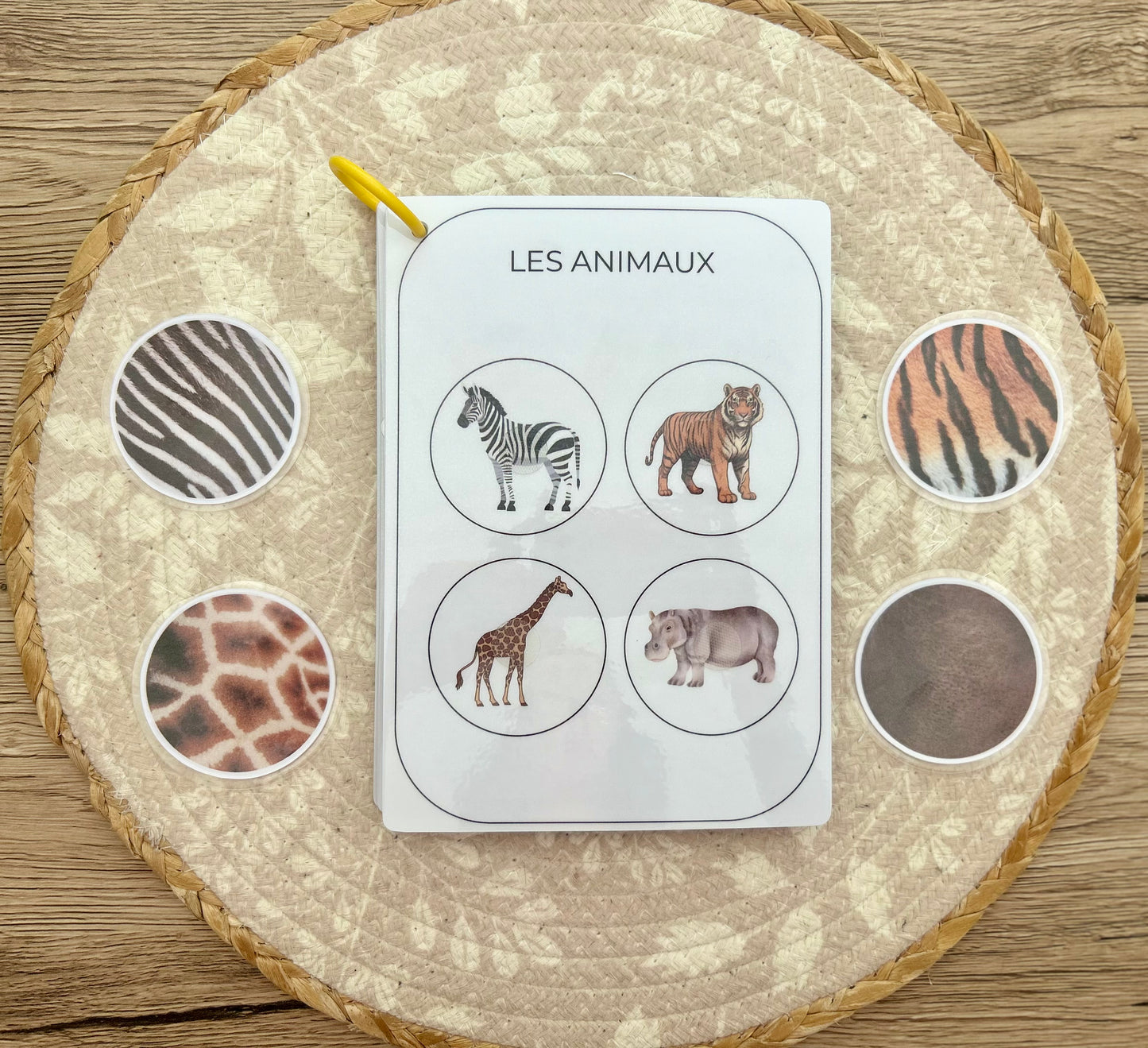 CARNET D'ACTIVITÉS 24 MOIS
