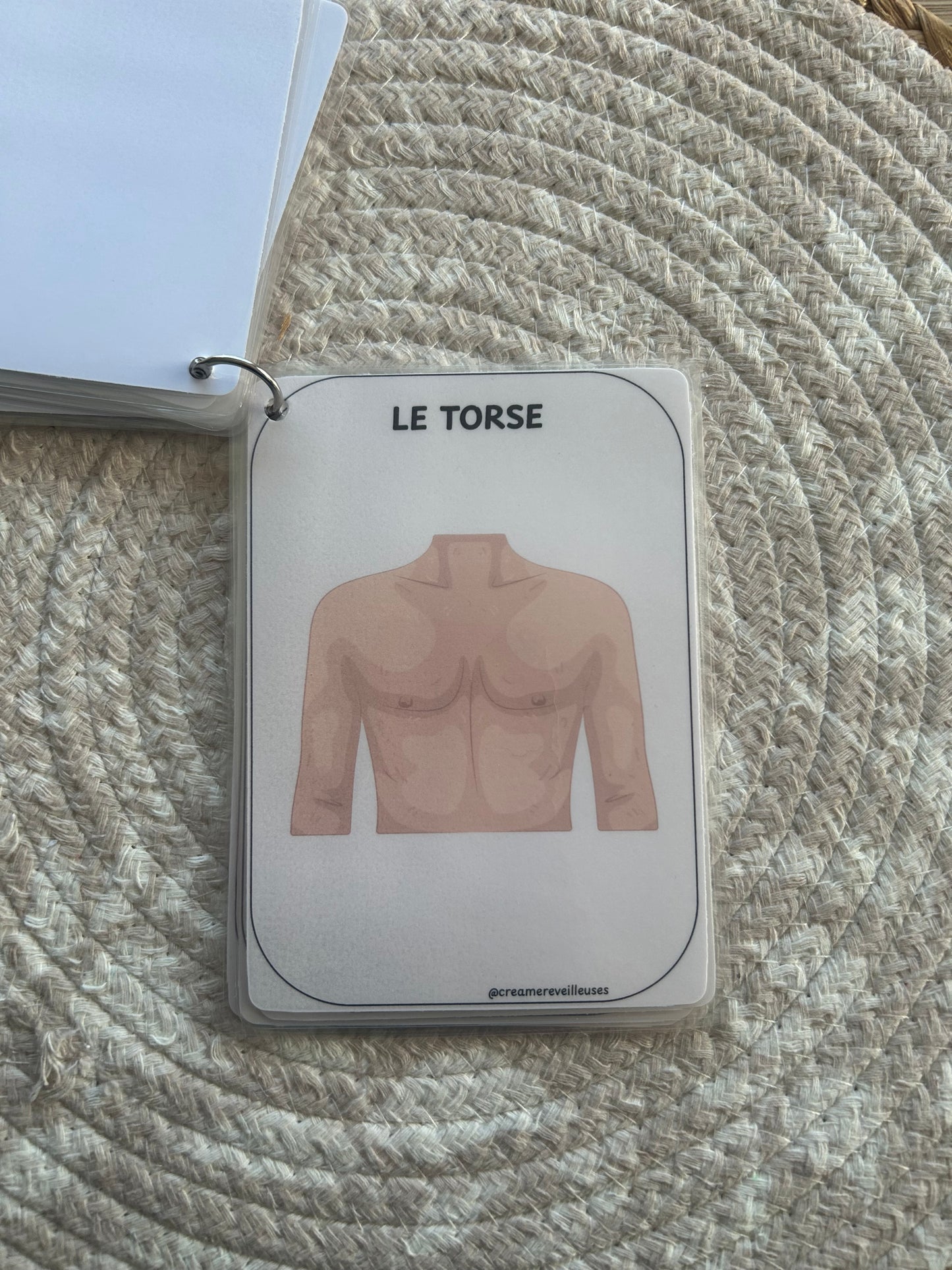 CARTES ÉDUCATIVES LES PARTIES DU CORPS