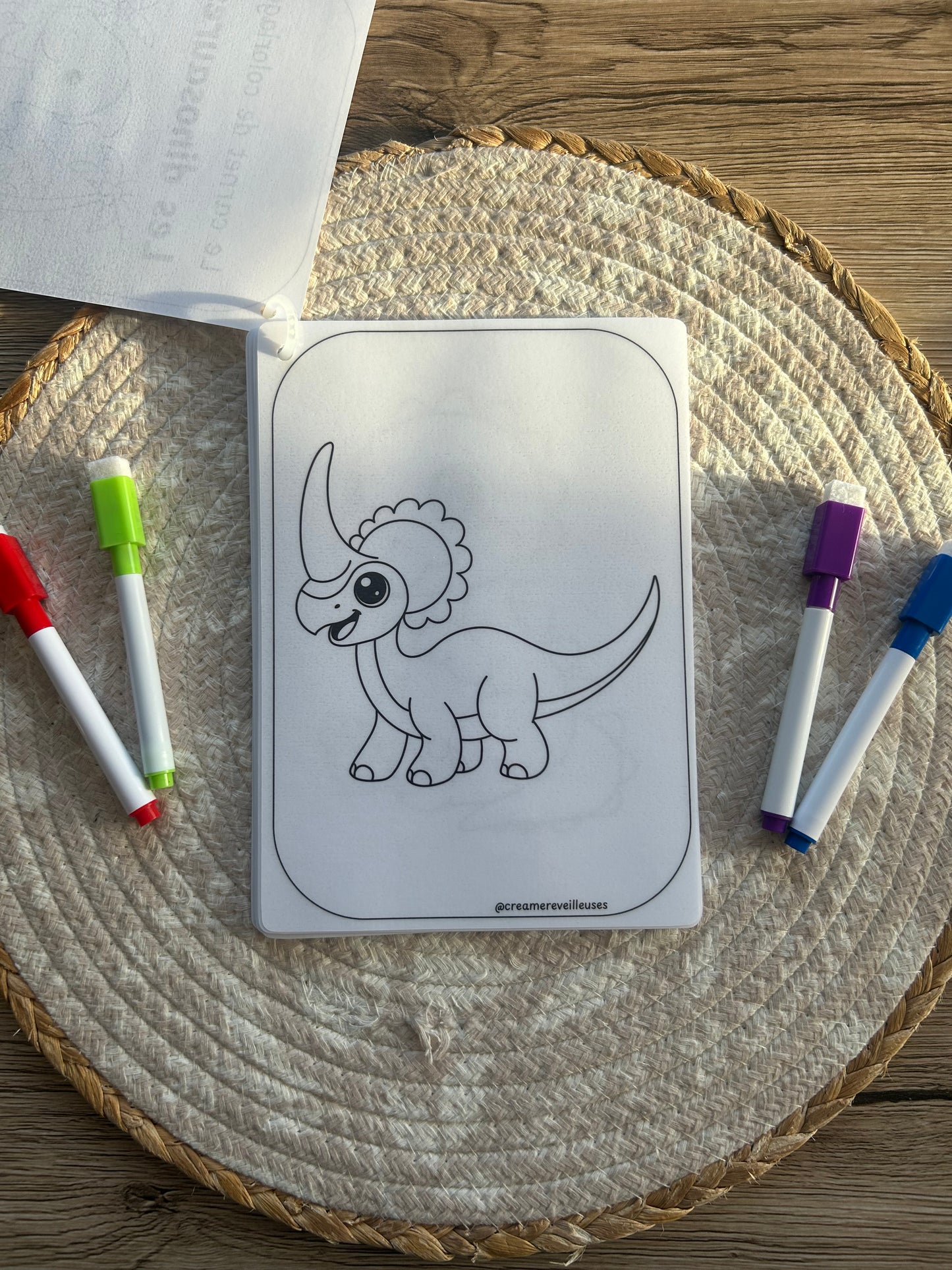CARNET DE COLORIAGE RÉUTILISABLE DINOSAURES