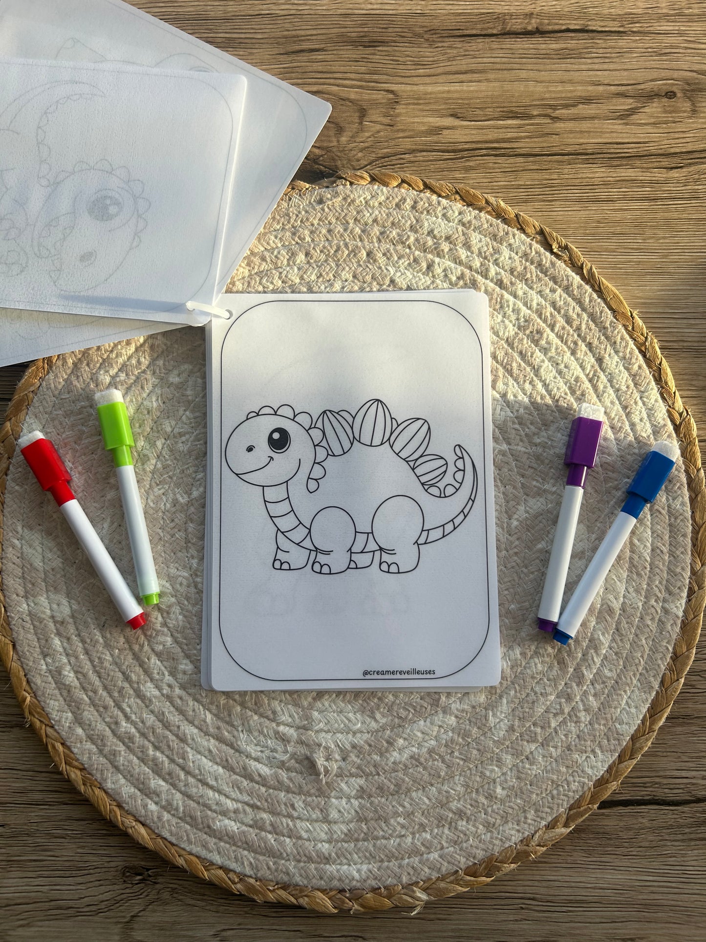 CARNET DE COLORIAGE RÉUTILISABLE DINOSAURES
