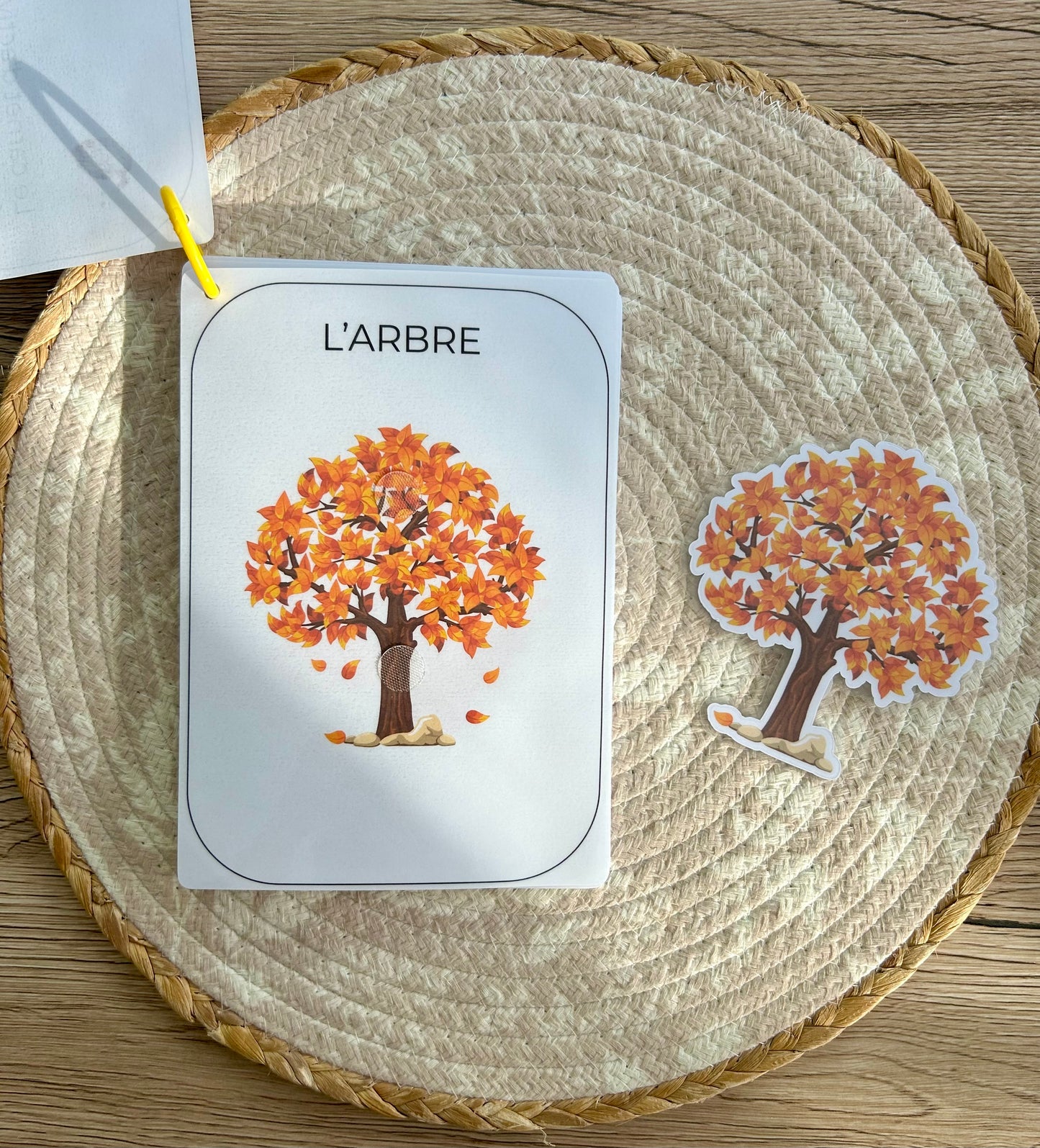 CARNET AUTOMNE DÈS 12 MOIS