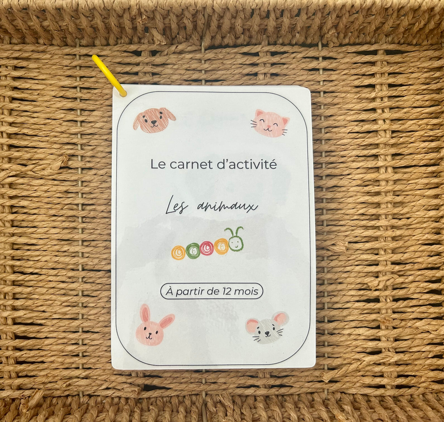 CARNET 12 MOIS PRIX RÉDUIT