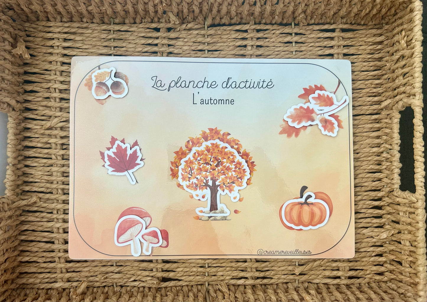 PLANCHE AUTOMNE PRIX RÉDUIT