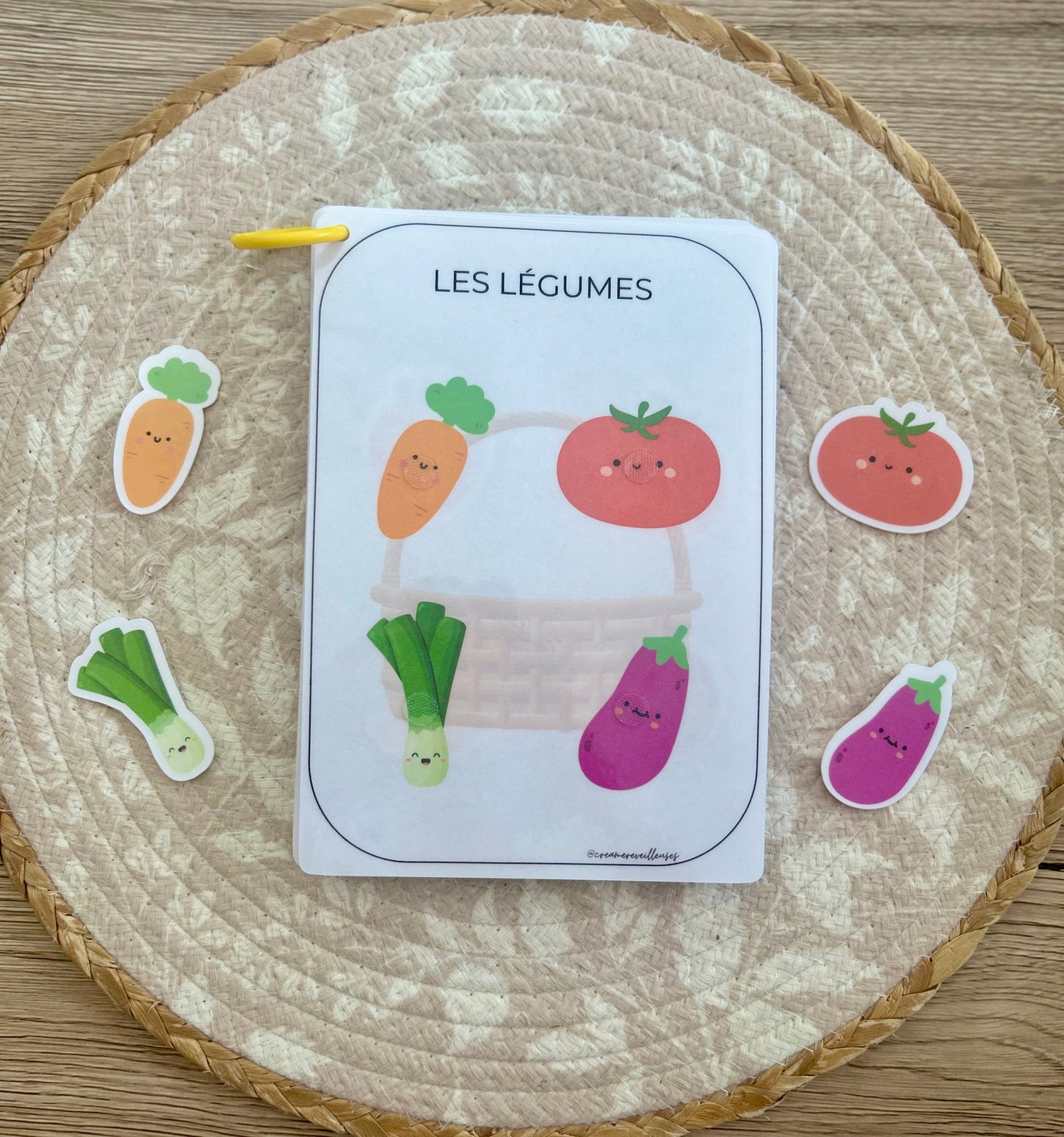 CARNET D’ACTIVITÉ 18 MOIS