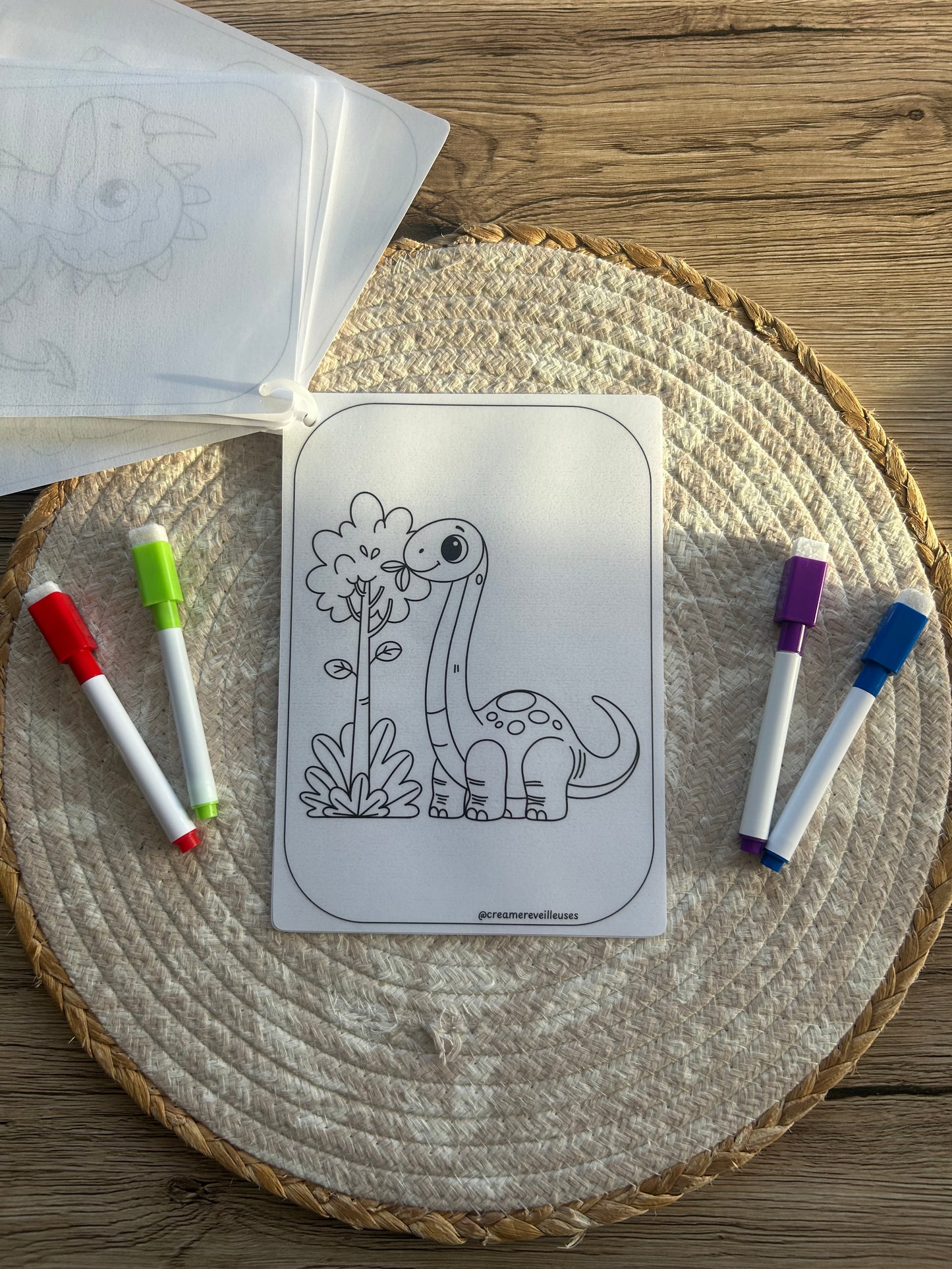 CARNET DE COLORIAGE RÉUTILISABLE DINOSAURES