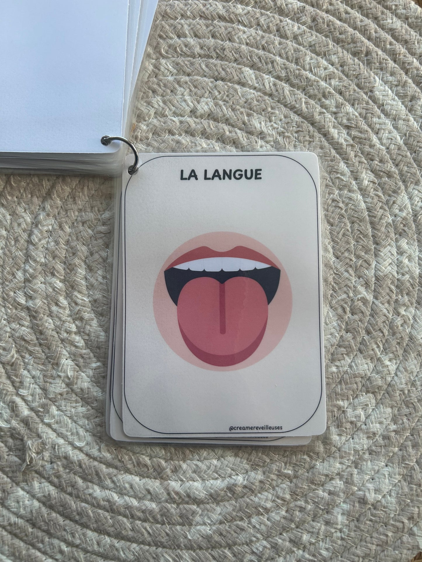 CARTES ÉDUCATIVES LES PARTIES DU CORPS