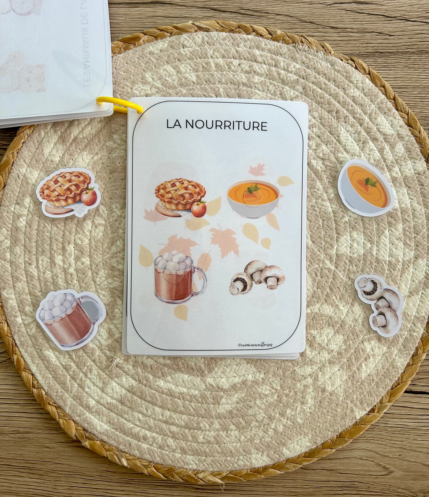 CARNET AUTOMNE 18 MOIS