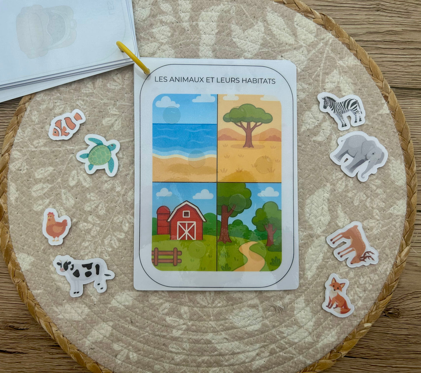 CARNET D'ACTIVITÉS 36 MOIS