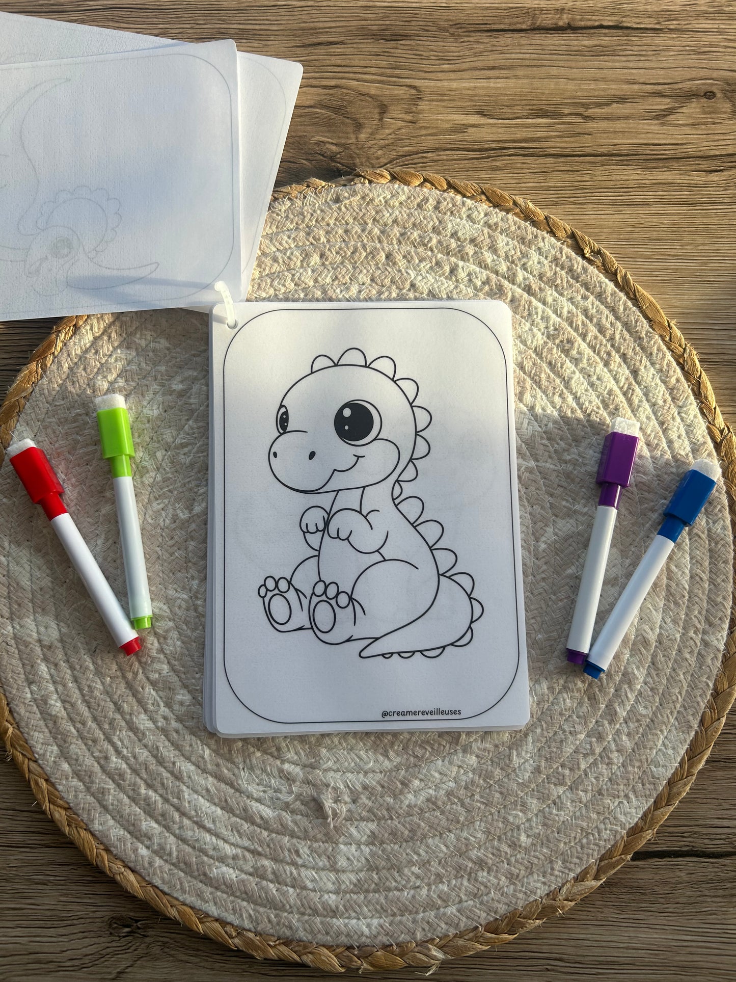 CARNET DE COLORIAGE RÉUTILISABLE DINOSAURES