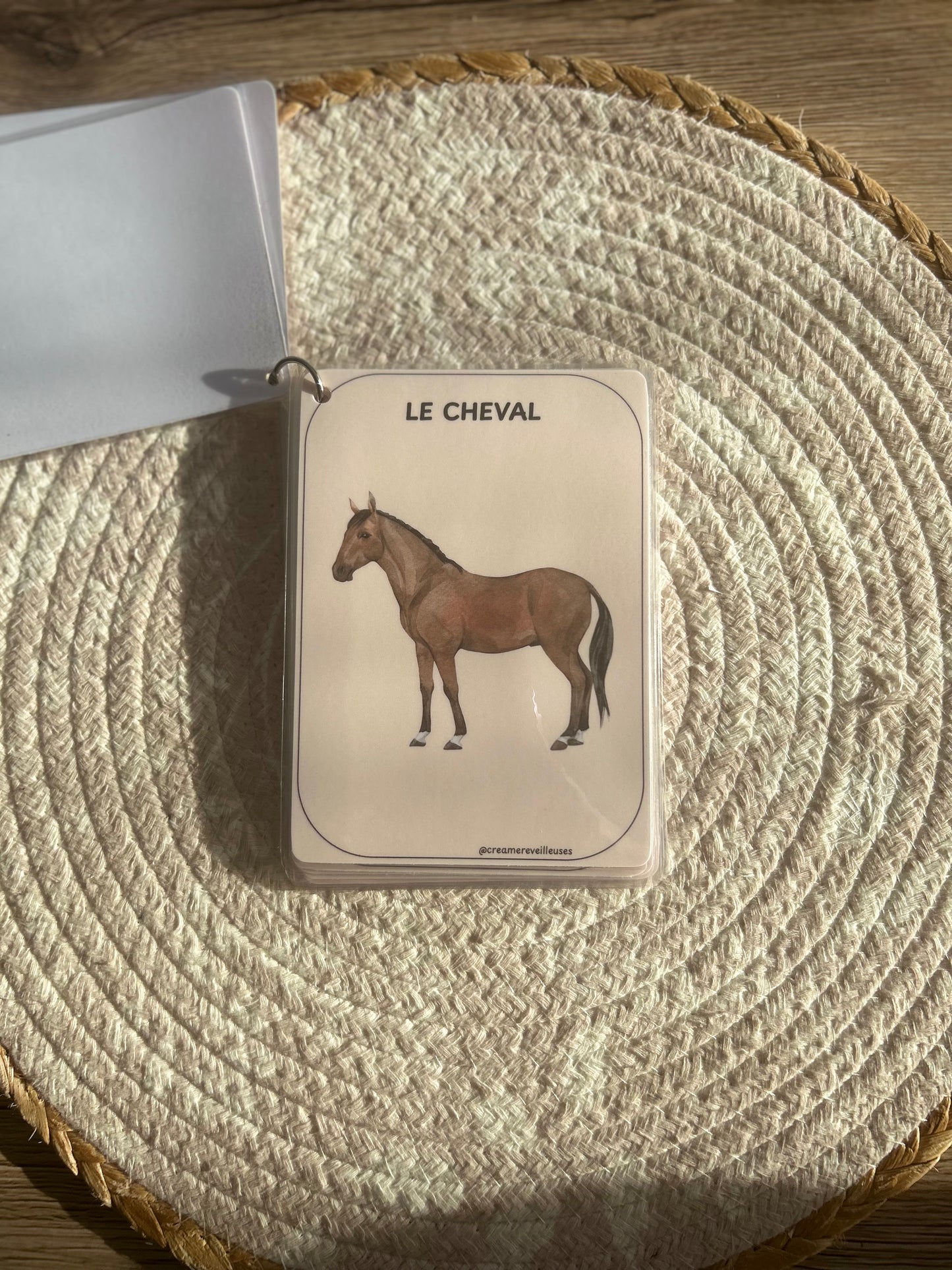 CARTES ÉDUCATIVES LES ANIMAUX DE LA SAVANE