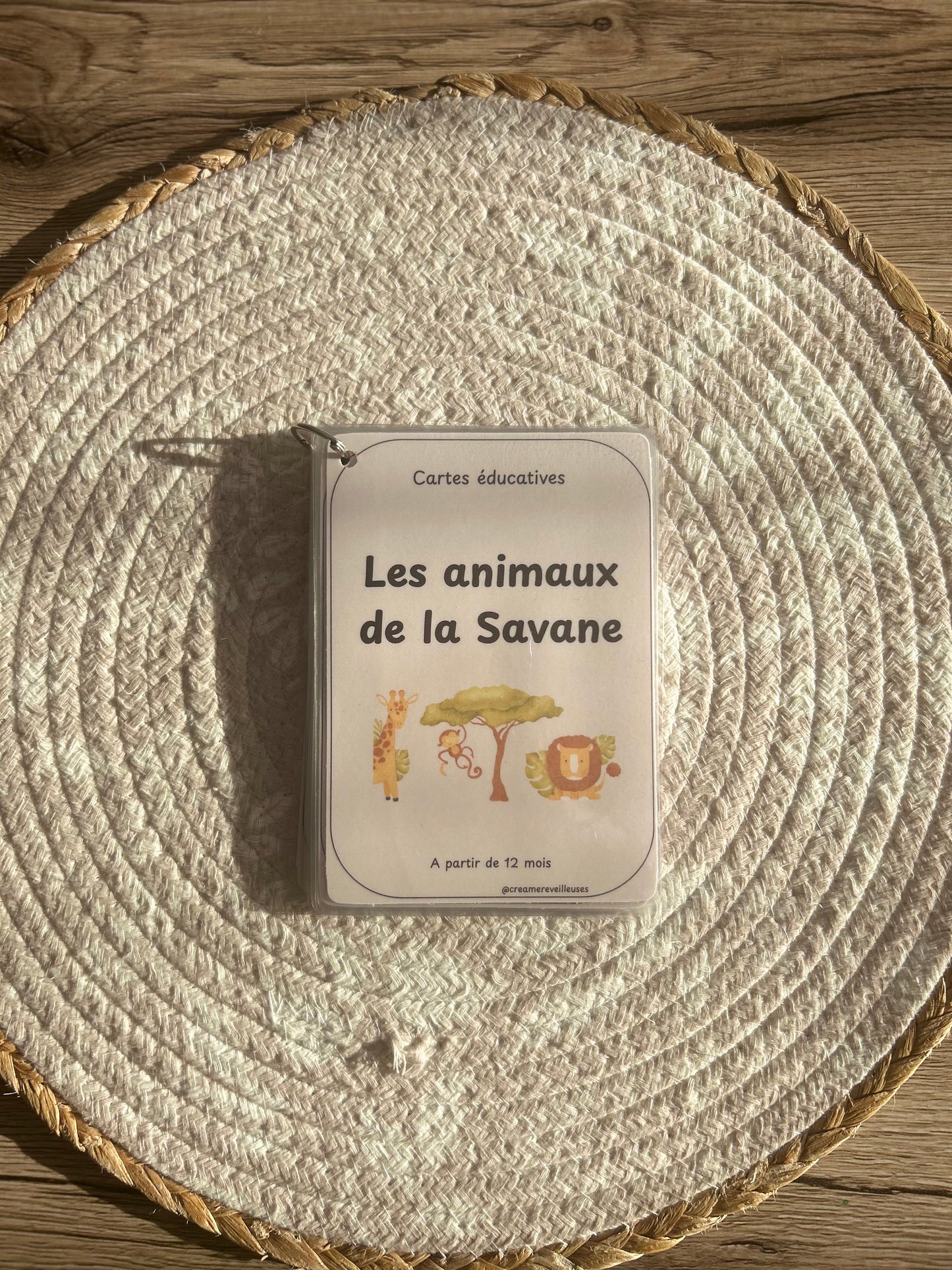 CARTES ÉDUCATIVES LES ANIMAUX DE LA SAVANE